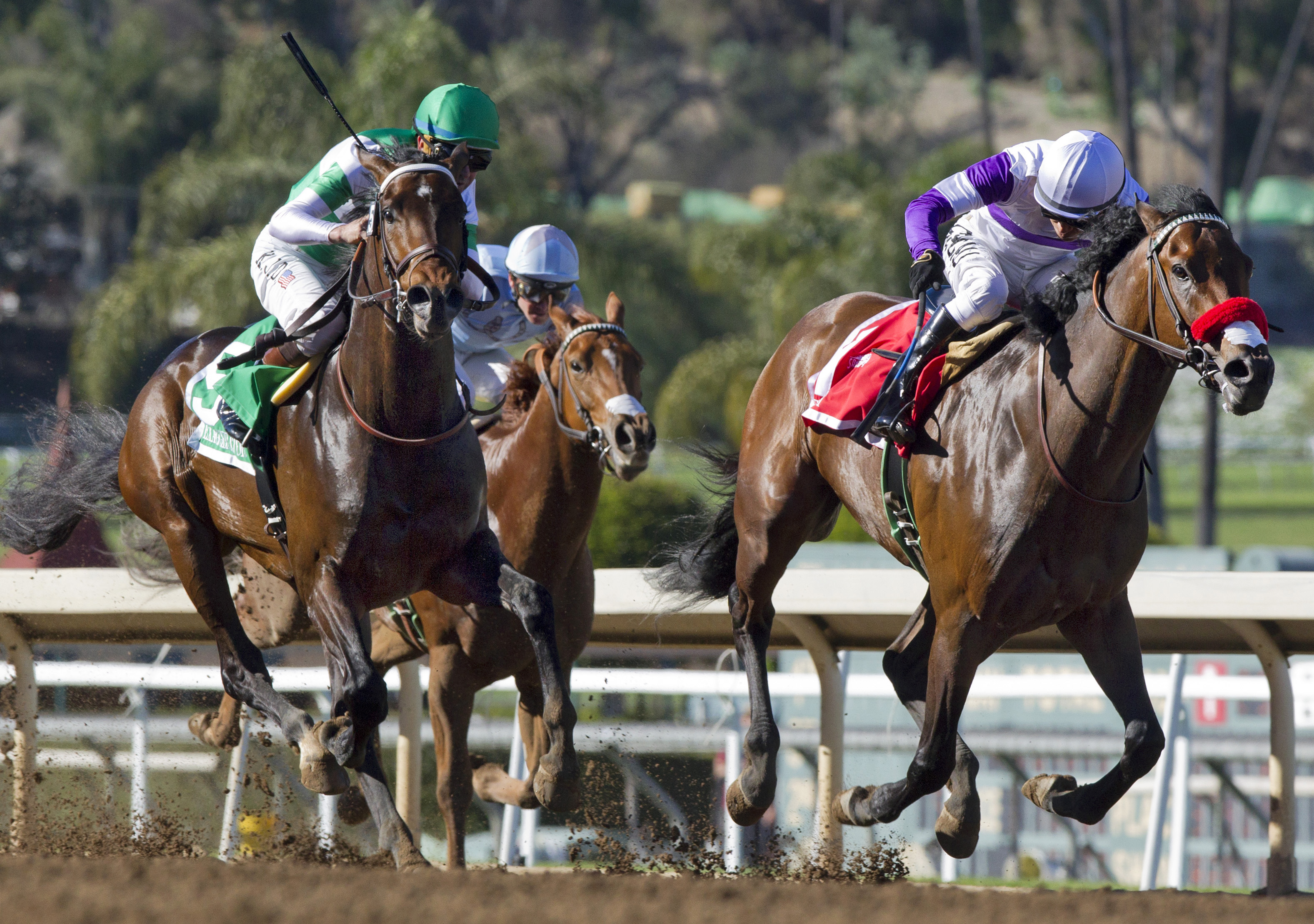 Exaggerator finishes second in the San Vincente