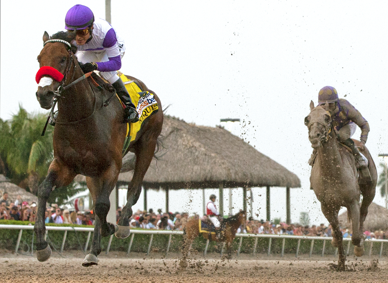 Nyquist 04-02-16
