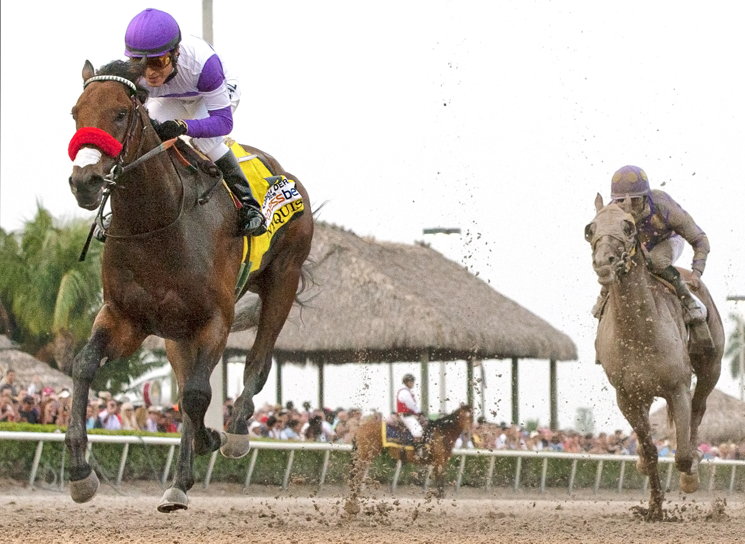 Nyquist wins the Florida Derby