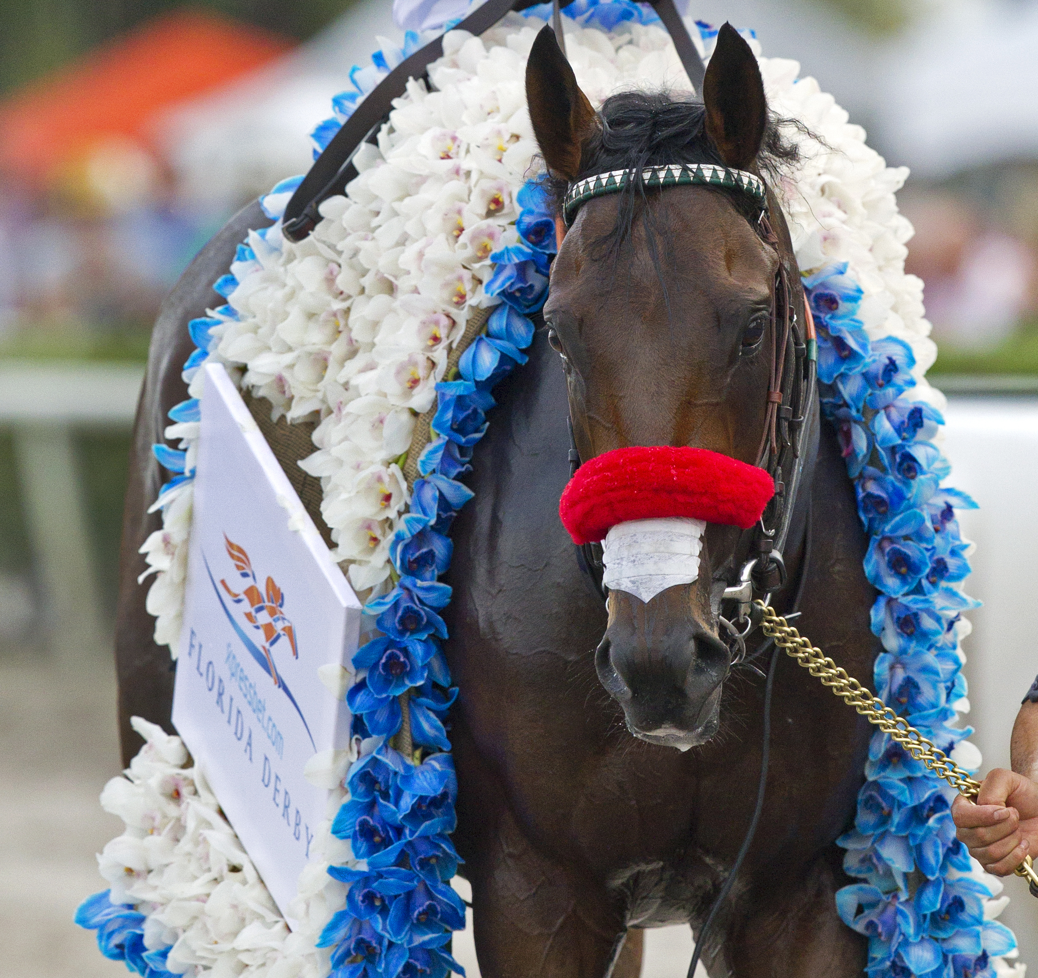 Watchmaker: Florida Derby leaves some questions unanswered