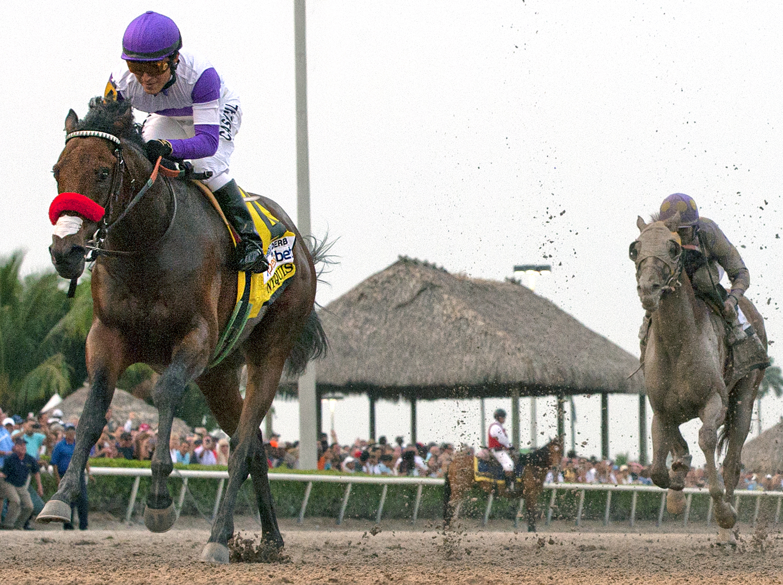 Nyquest-Florida Derby