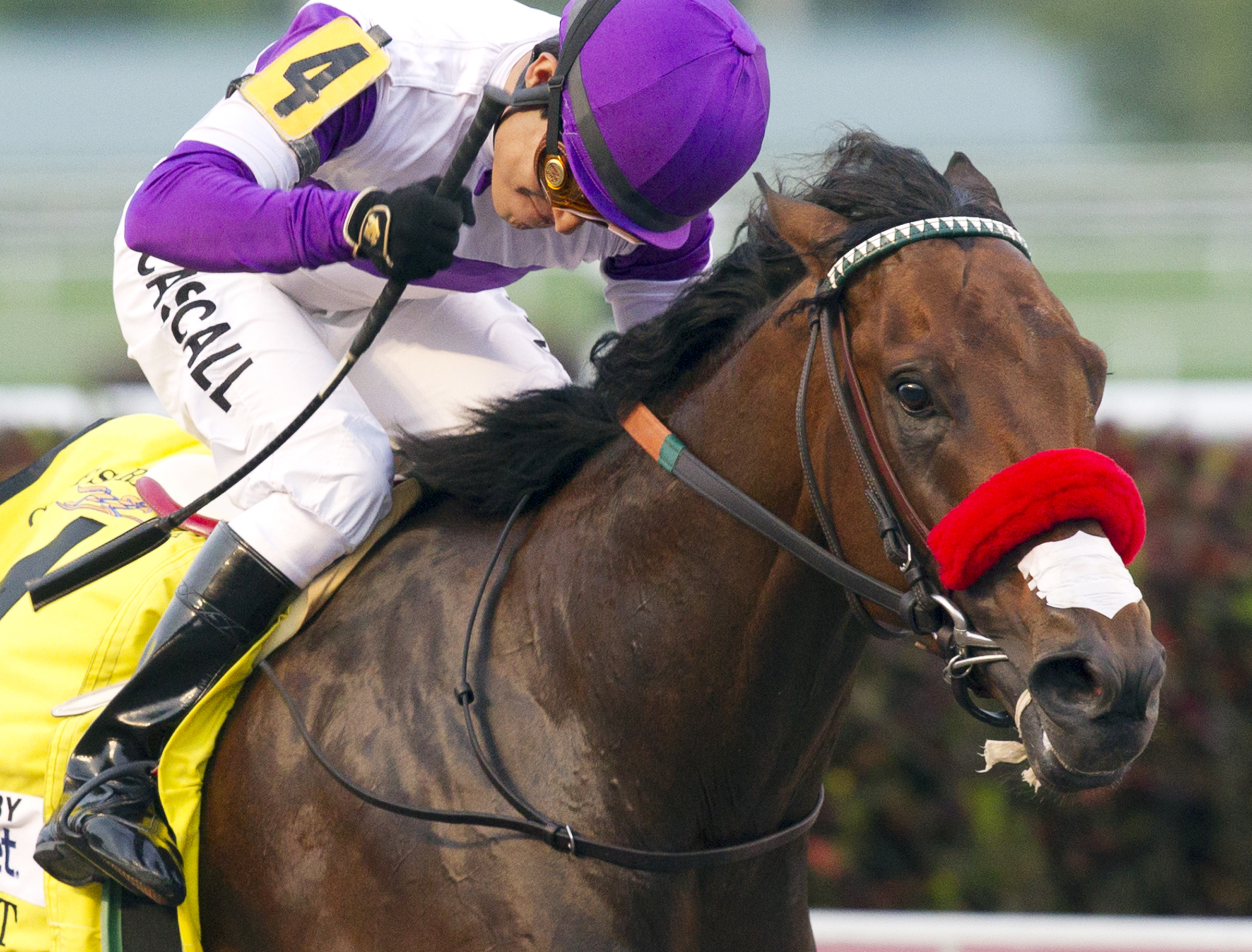Nyquist wins the Florida Derby