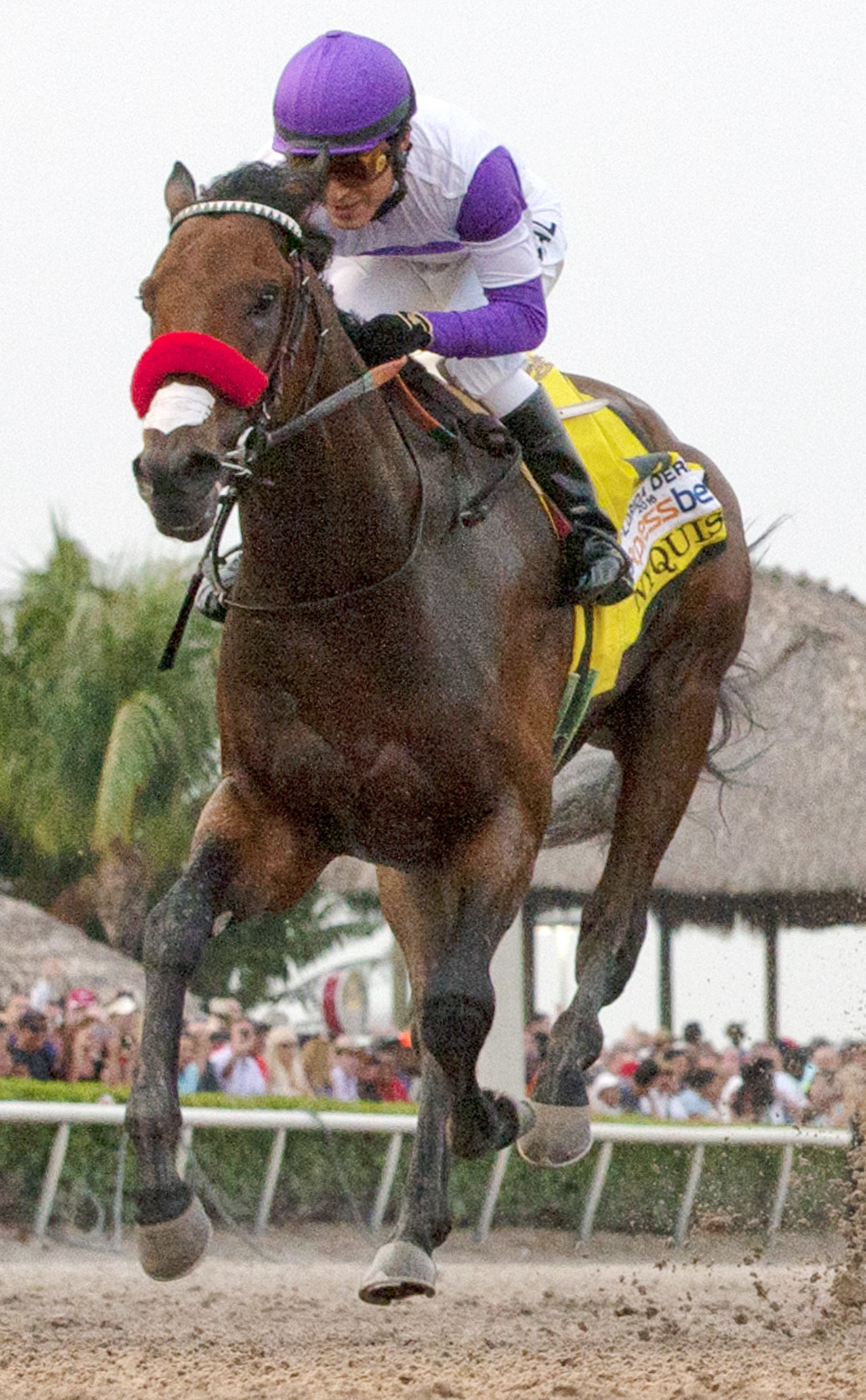 Nyquist wins the Florida Derby
