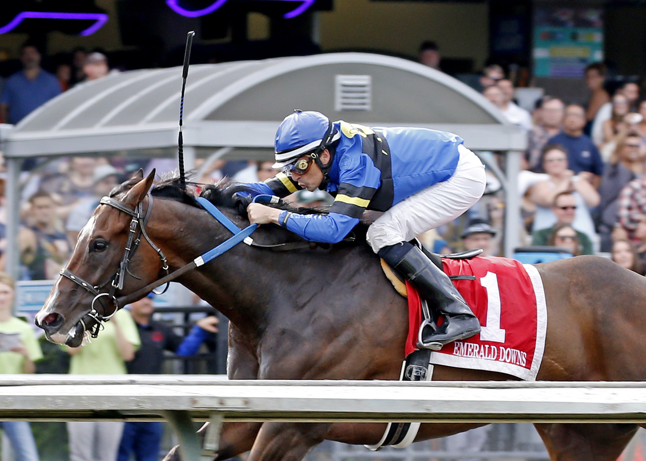 O B Harbor wins the Mt. Rainer Stakes
