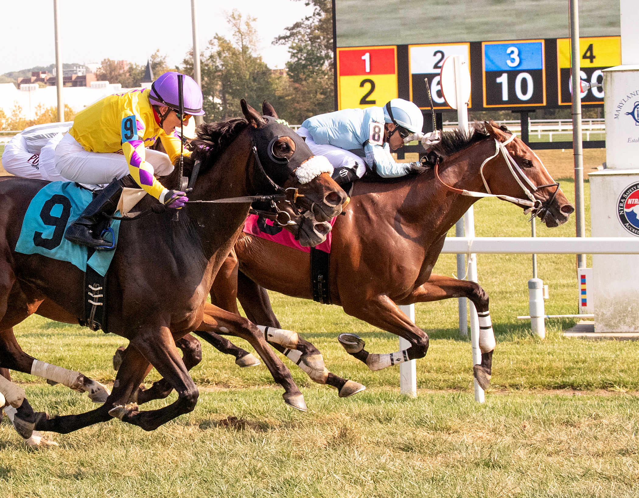 O Dionysus wins the 2019 Japan Turf Cup