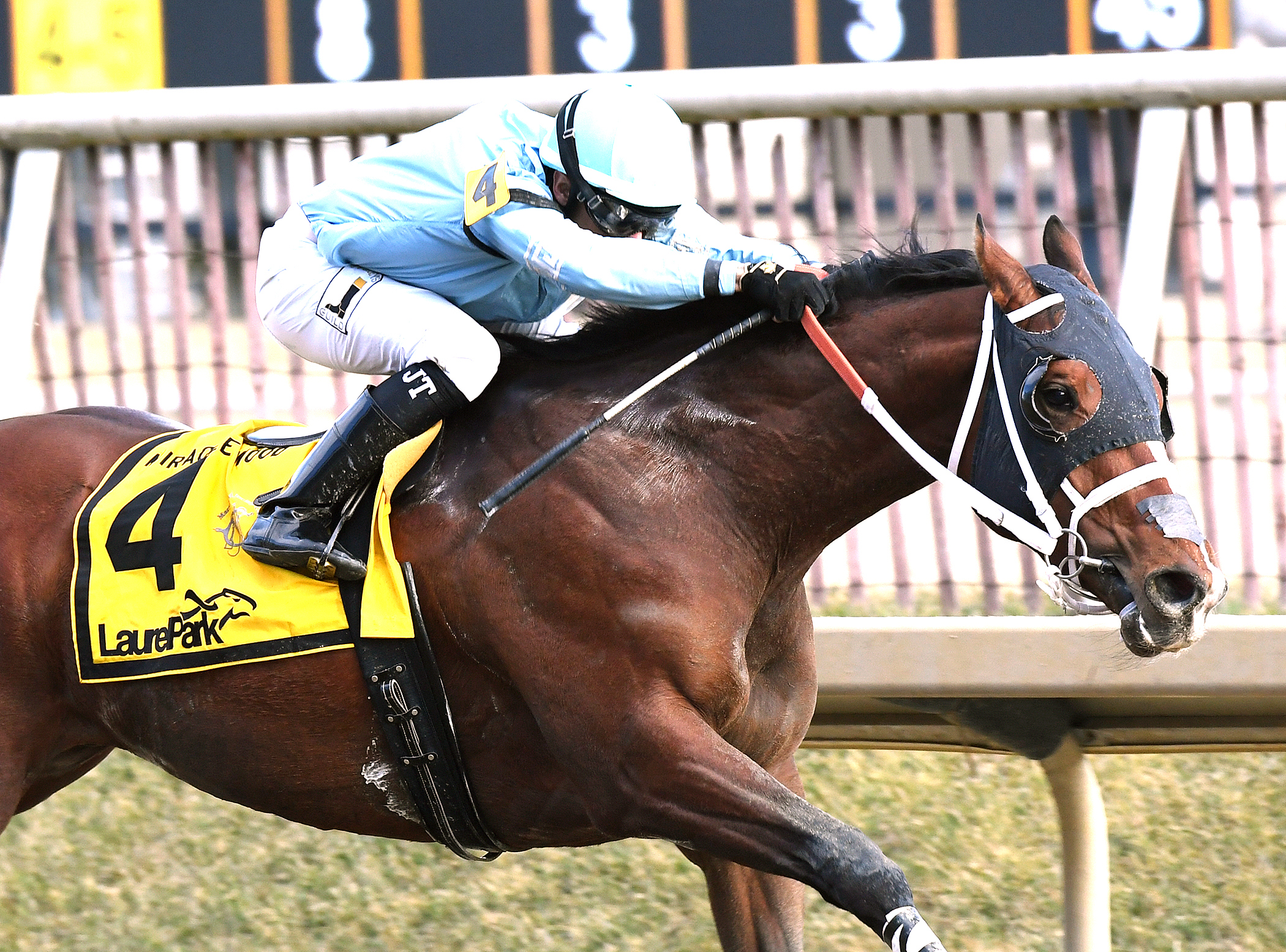 O Dionysus wins the Miracle Wood Stakes