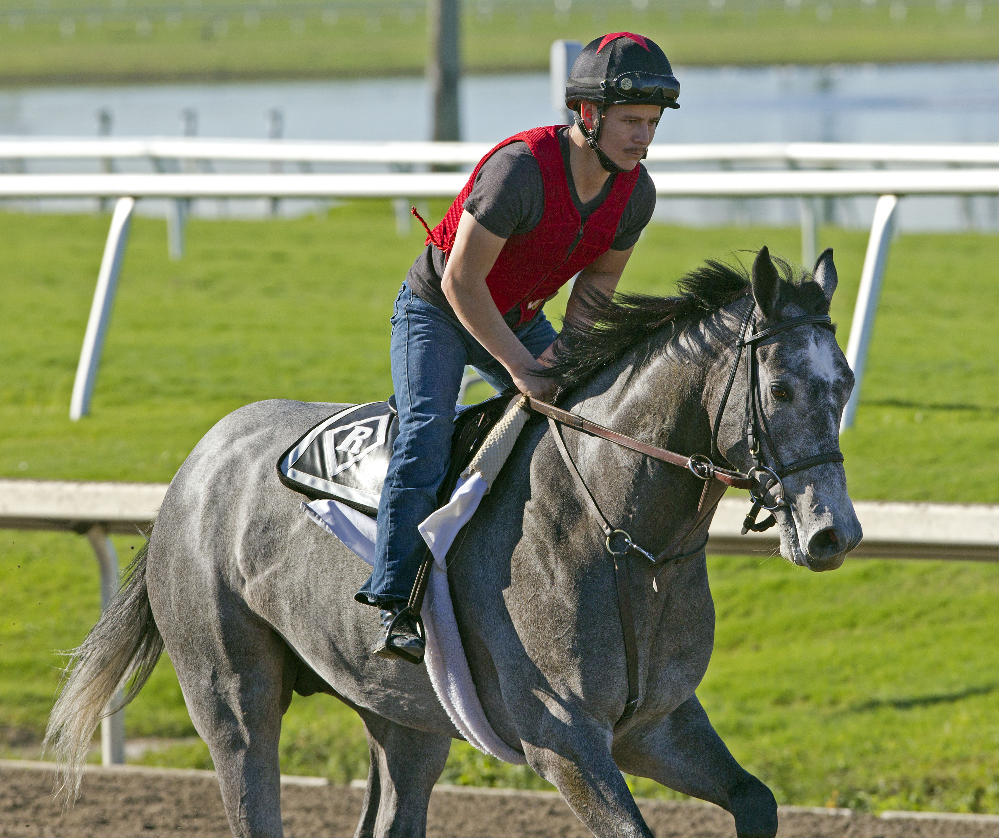 O'Prado Again at Gulfstream Park