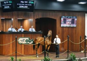 OBS June 2yo session topper, first session