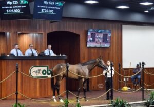 $725,000 Uncle Mo filly tops second session at OBS June sale