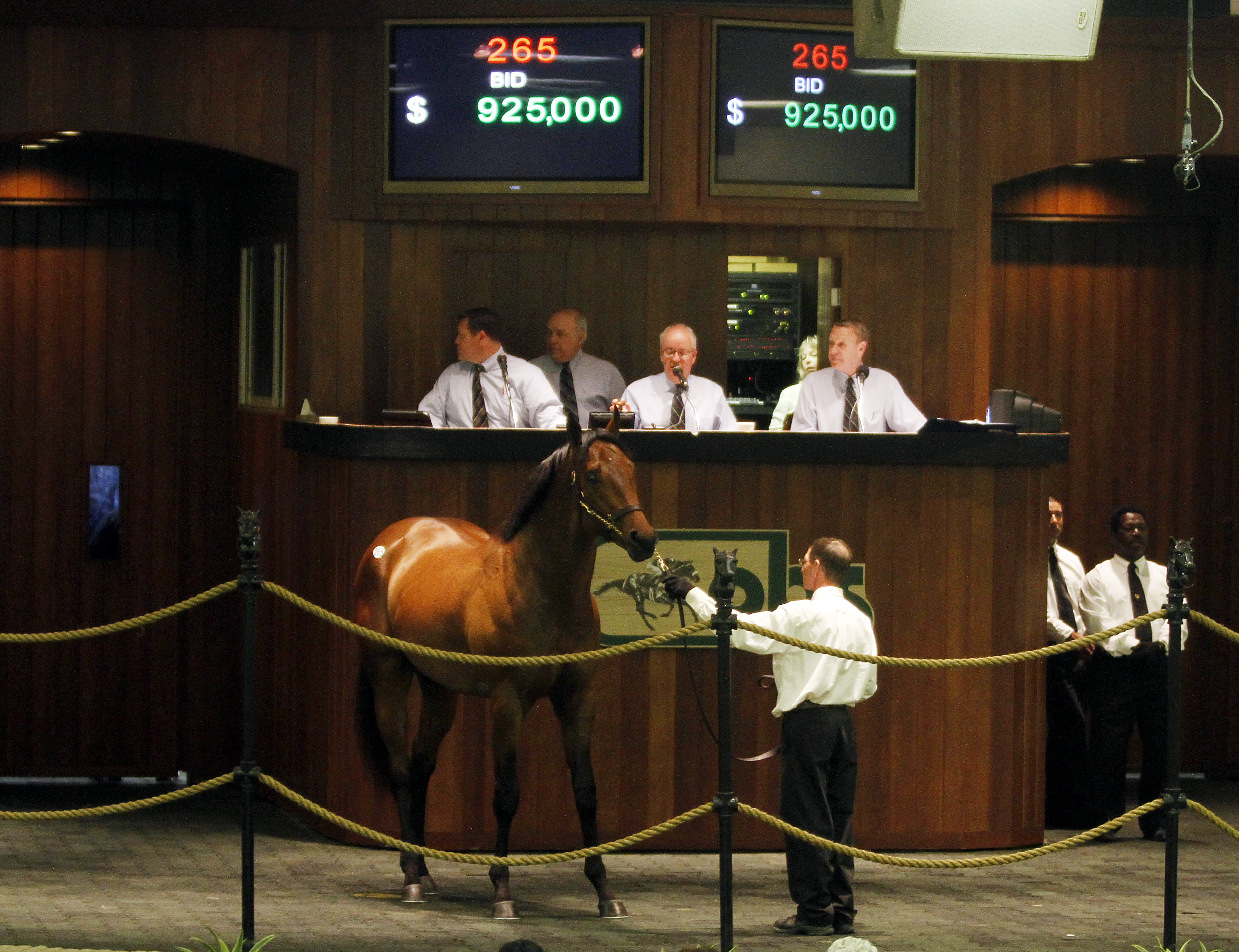 OBS Sale