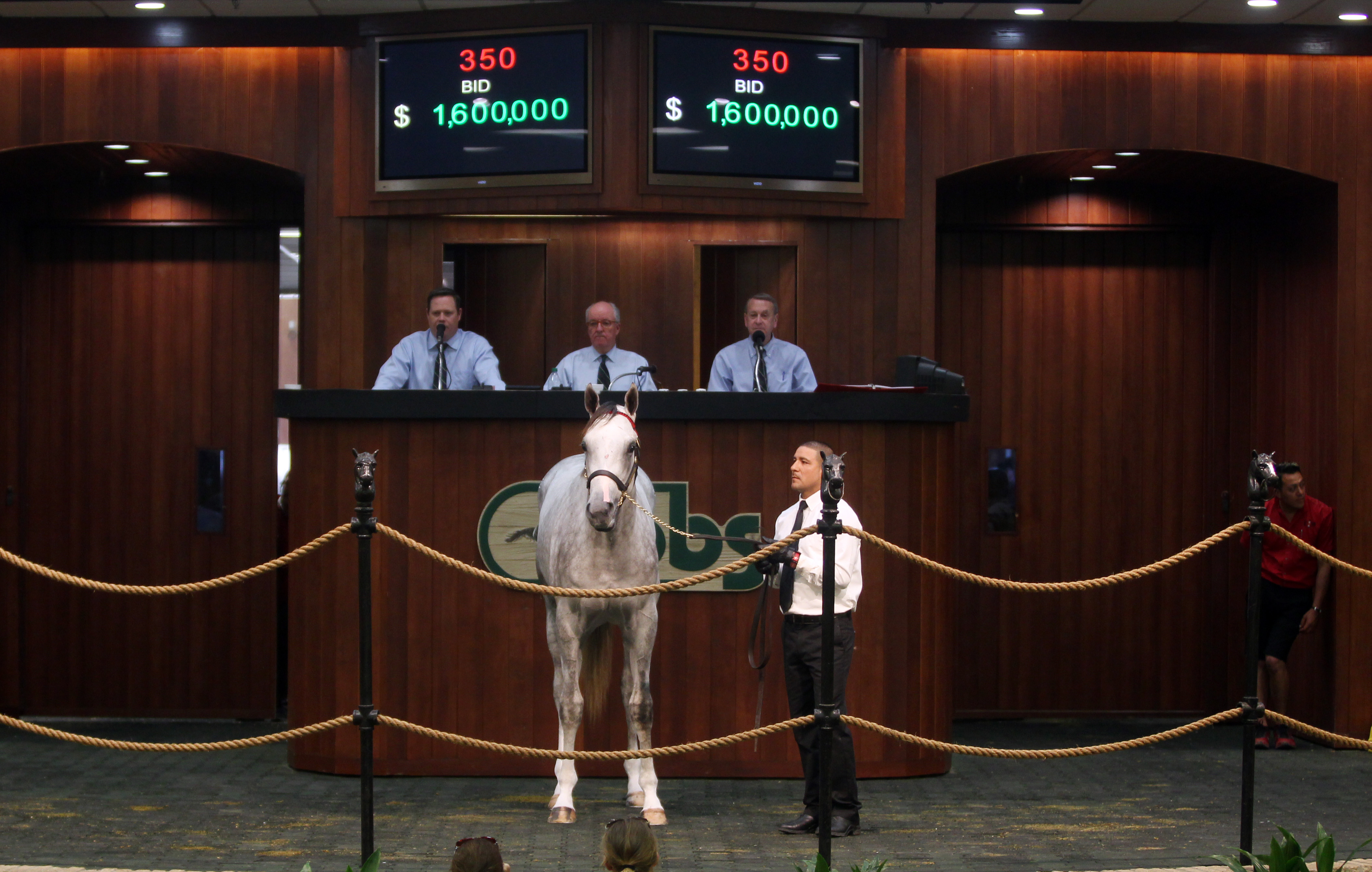OBS Sale topper, Hip 350