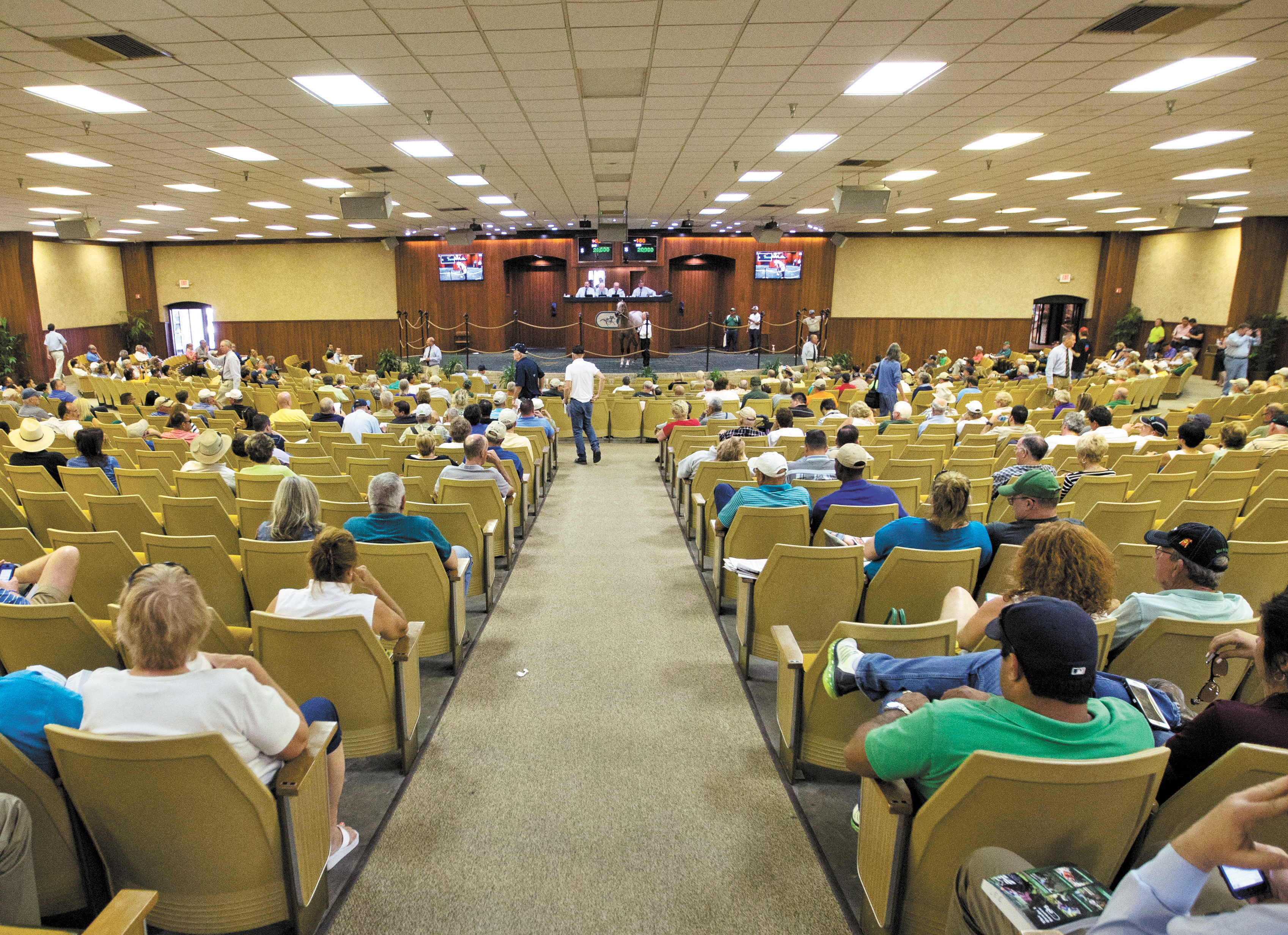 OBS Sale scenic from 2015