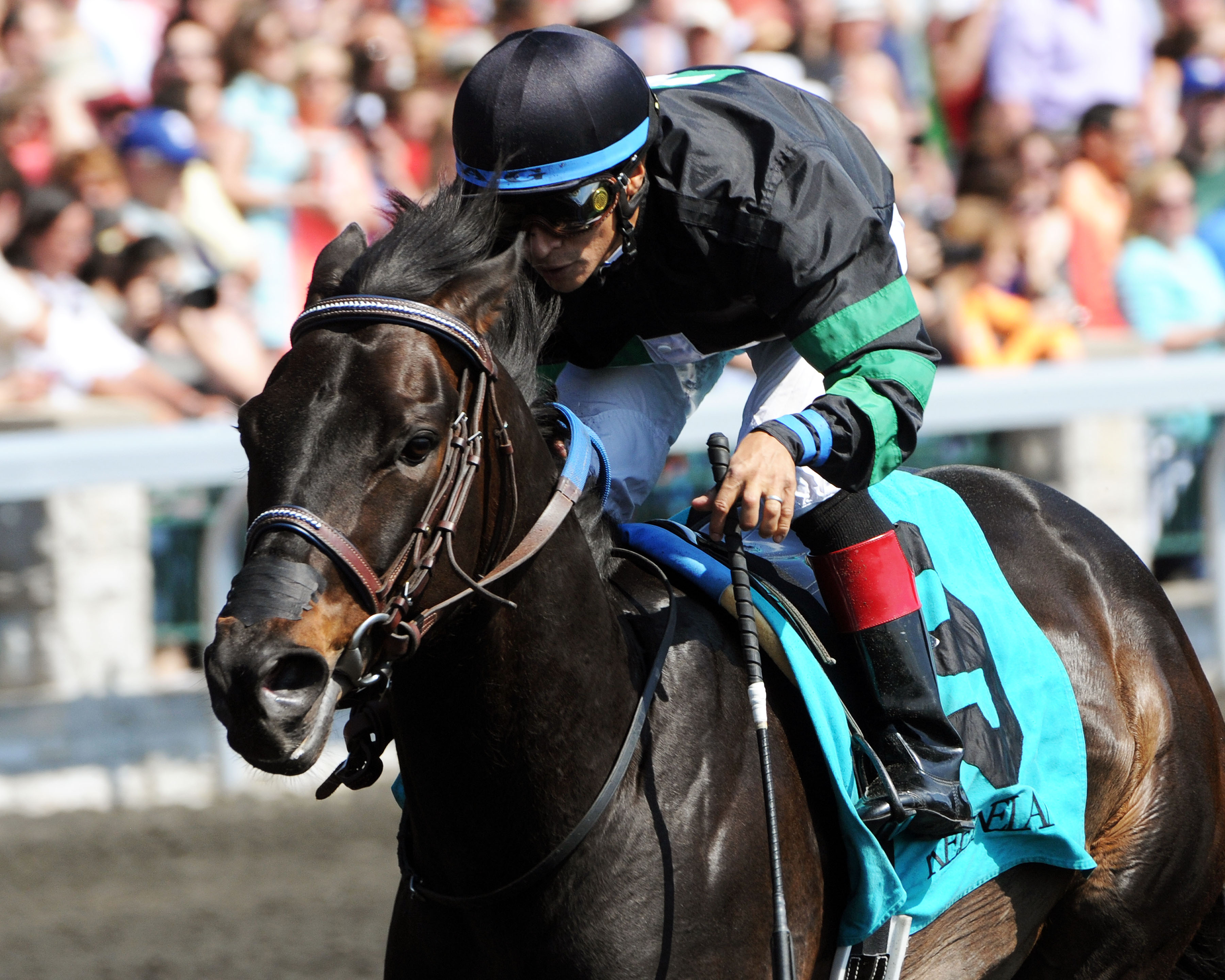 Occasional View regroups, wins Commonwealth