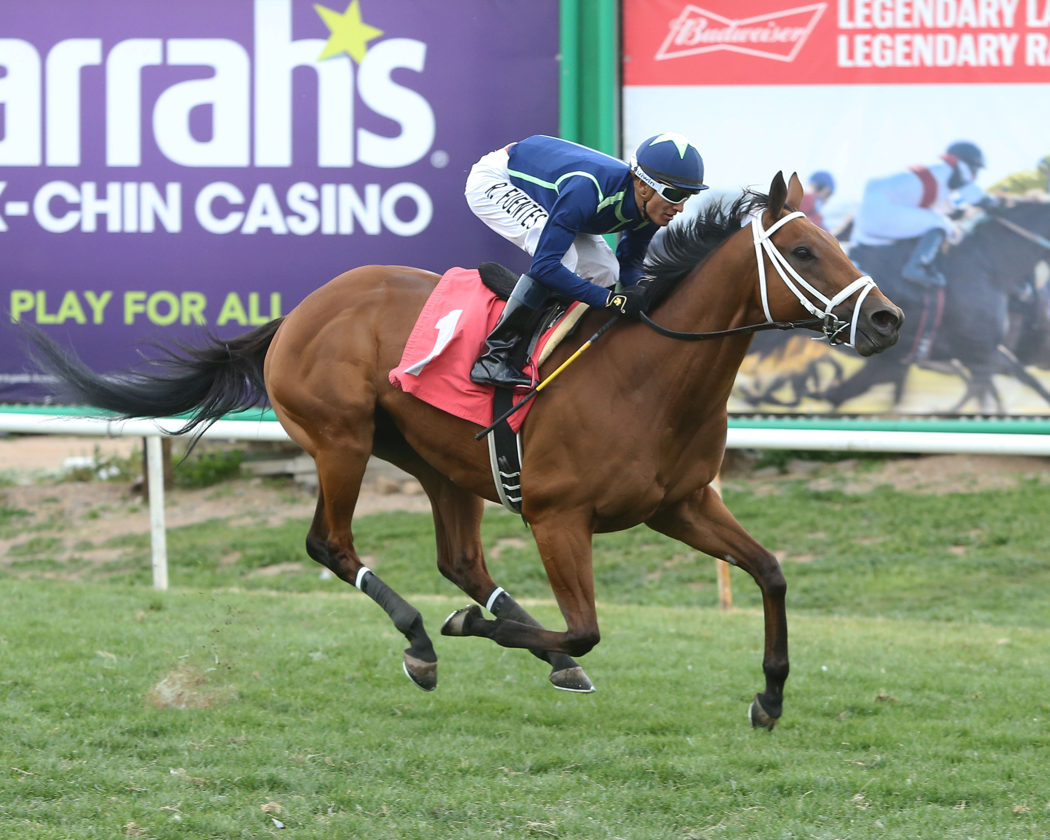 Ohio wins the 2019 Cotton Fitzsimmons Mile