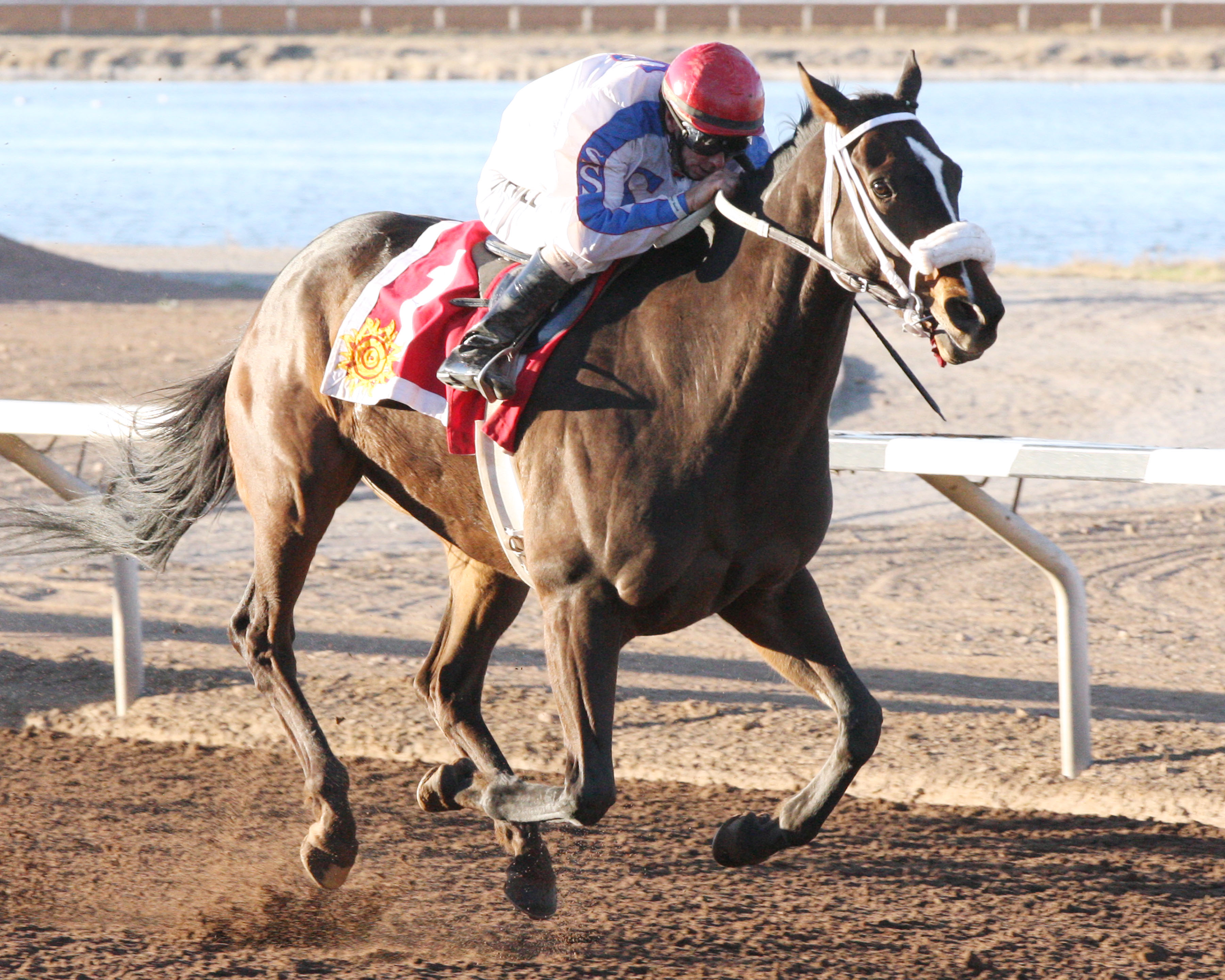 Ol Winedrinker Who 2-28-2016