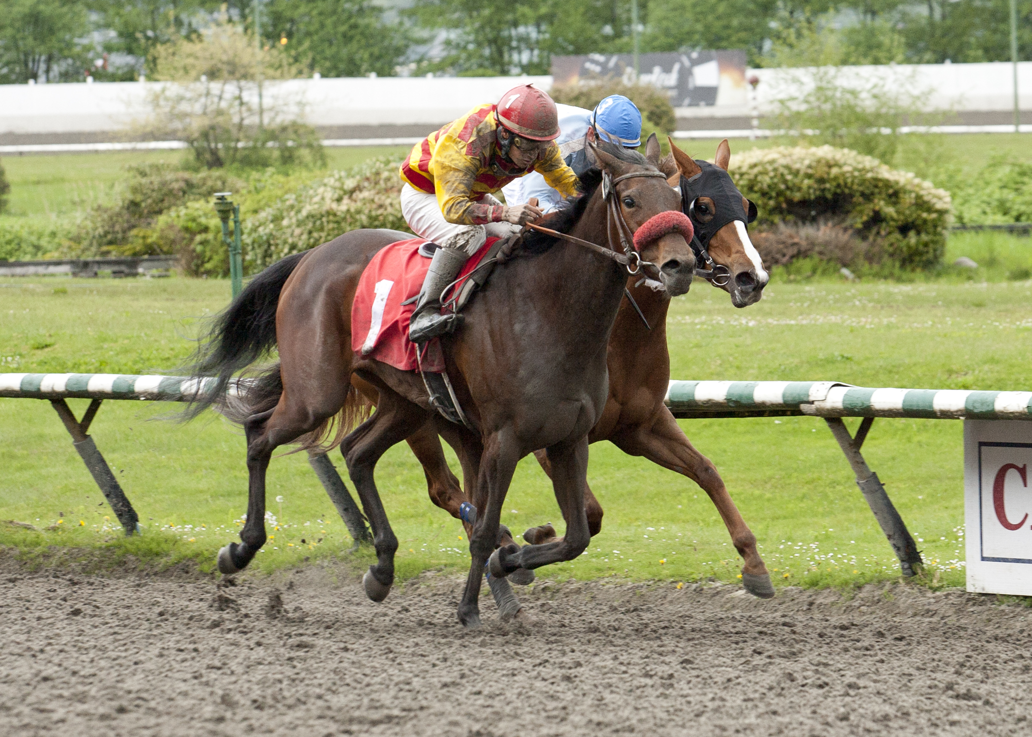 Ole's Miss wins the Ross McLeod Stakes