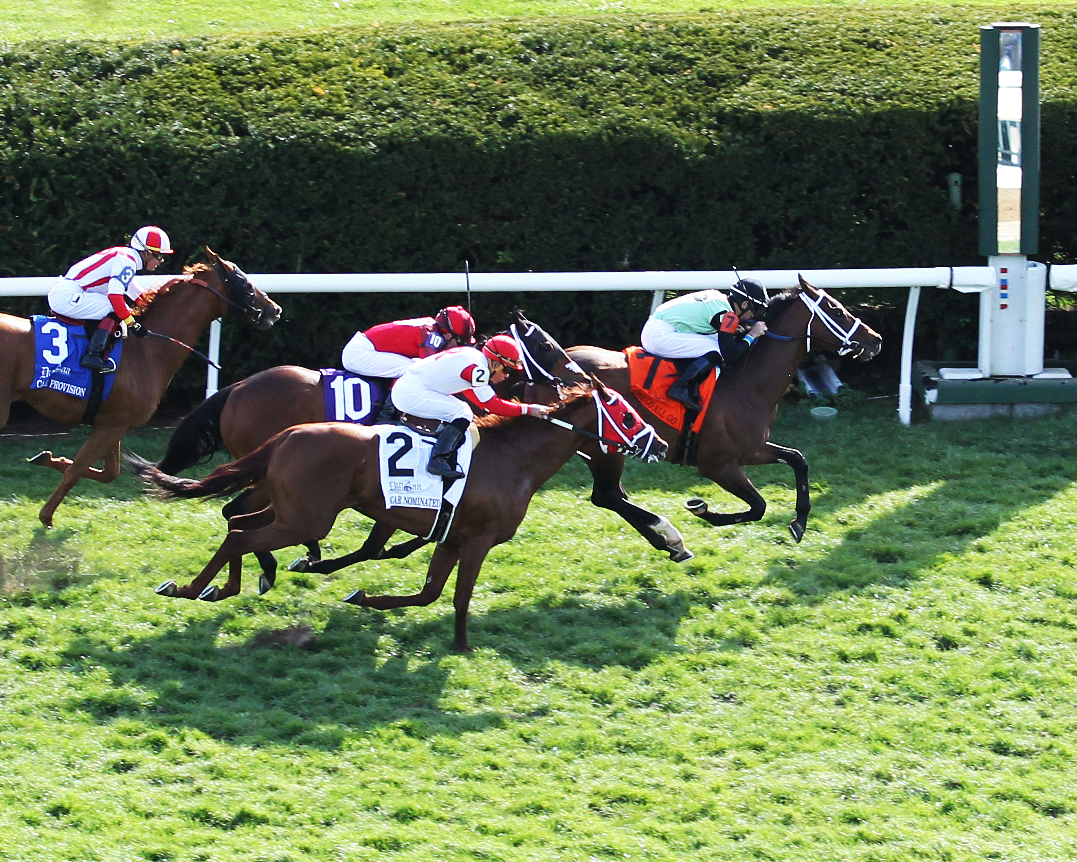 One Go All Go (No. 7) wins the 2018 Elkhorn Stakes