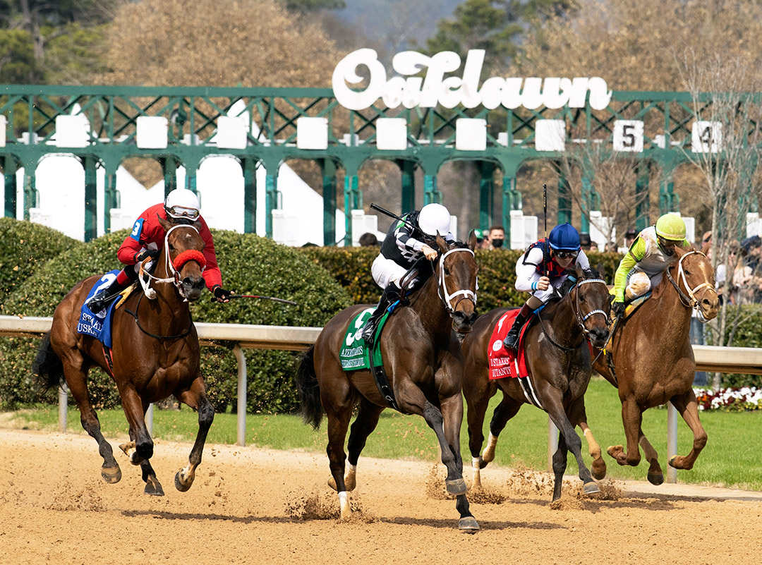 Dirt racing at Oaklawn Park