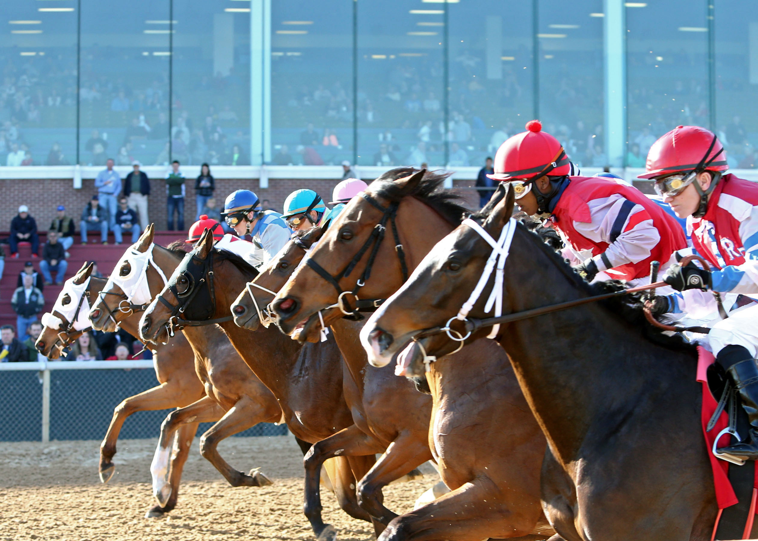 Oaklawn Park race scenic