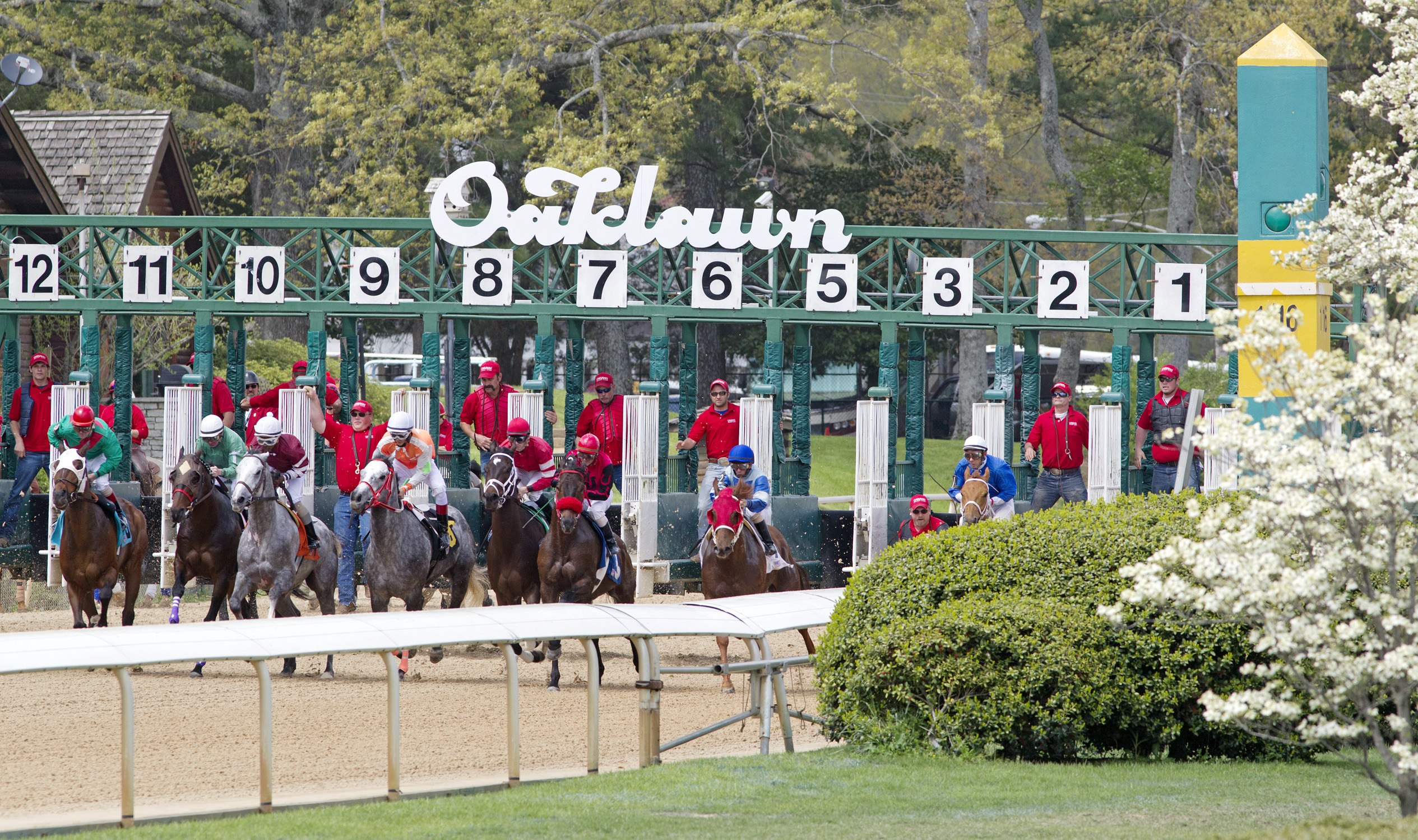 Oaklawn Park starting gate