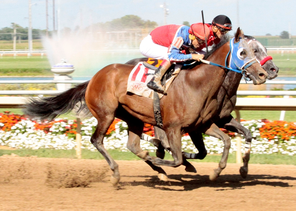 Operation Stevie (No. 11) wins the 2018 William Henry Harrison Stakes