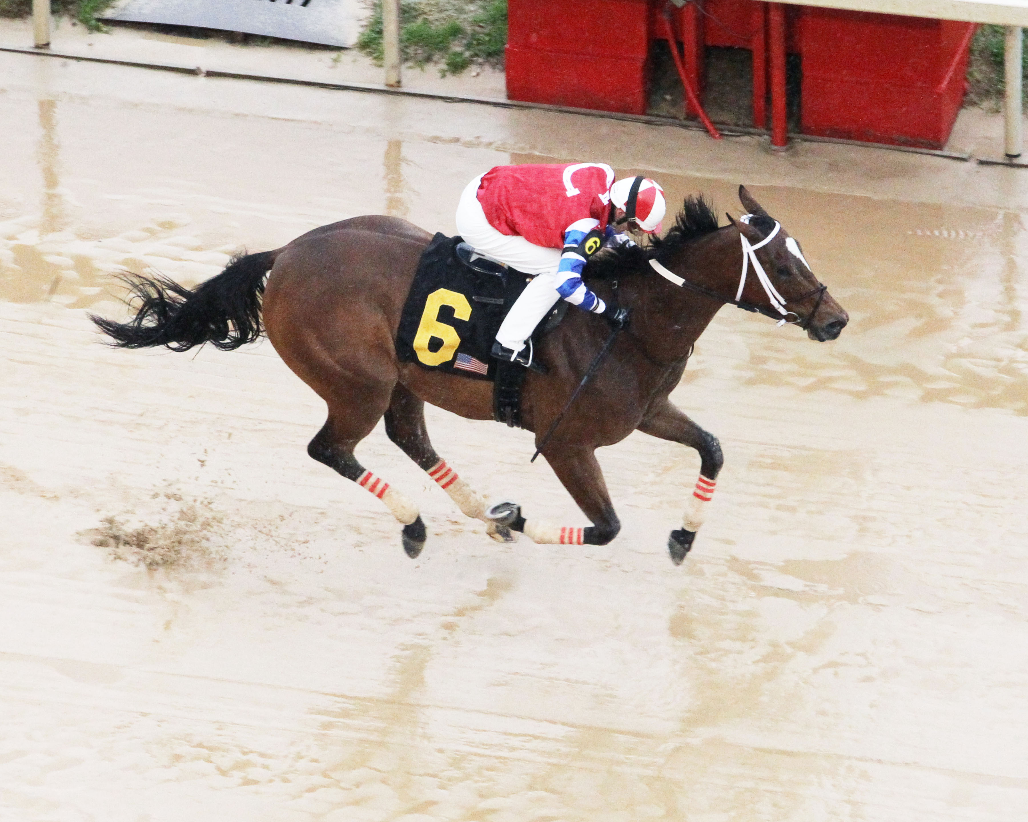 Ours to Run/2019 Carousel Stakes