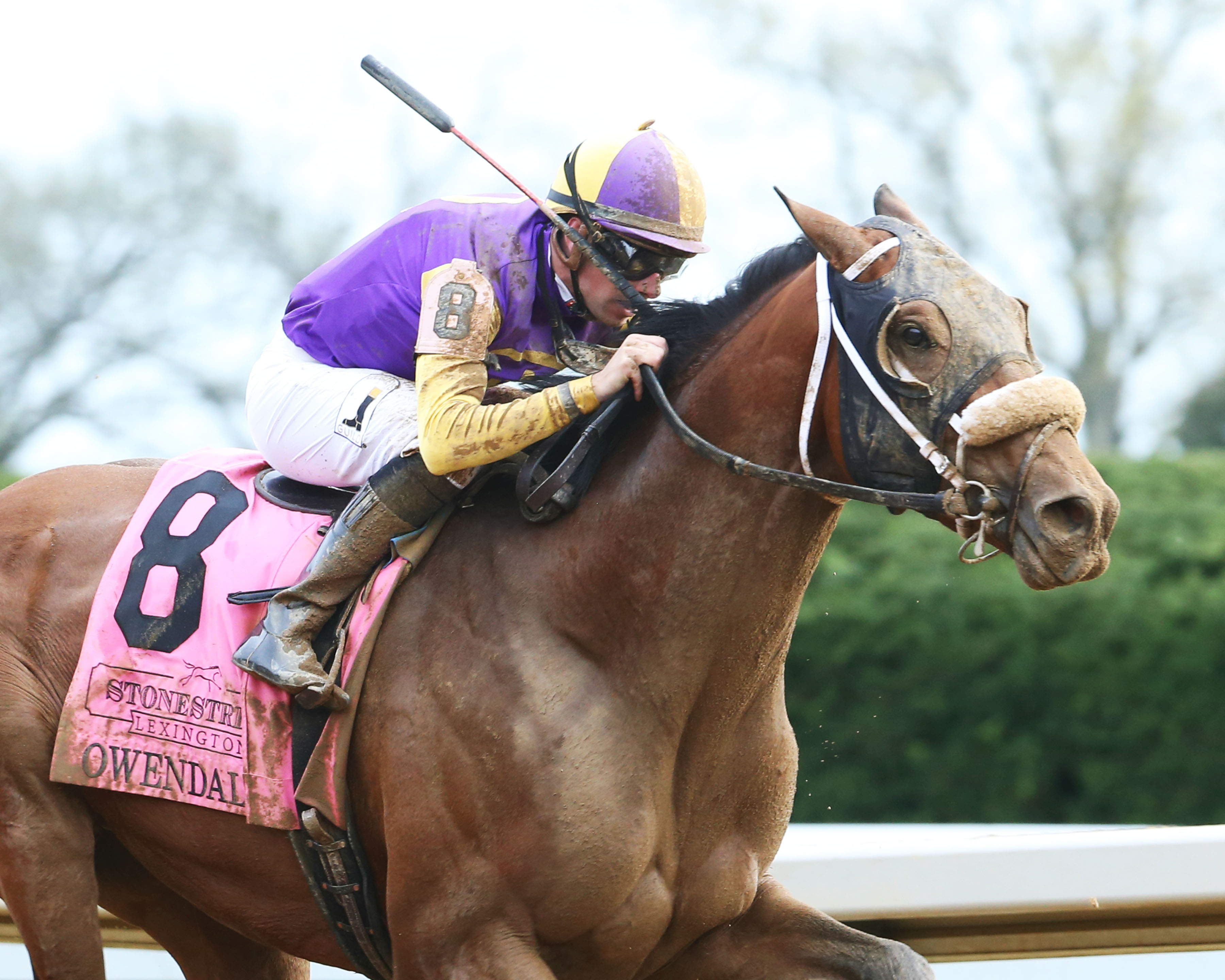 Owendale wins the 2019 Lexington Stakes