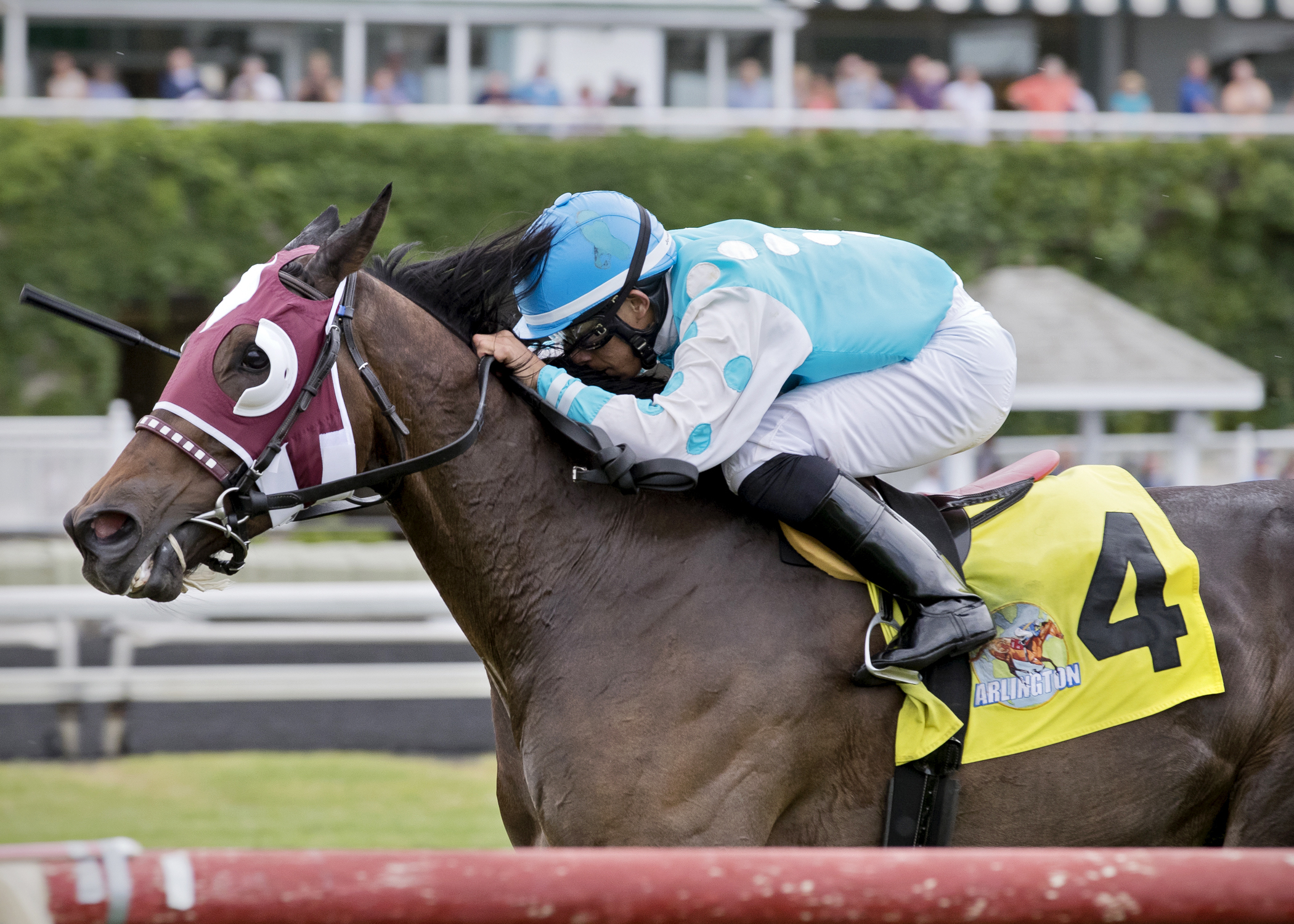 Oak Brook wins the Black Tie Affair
