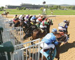 Oaklawn Park