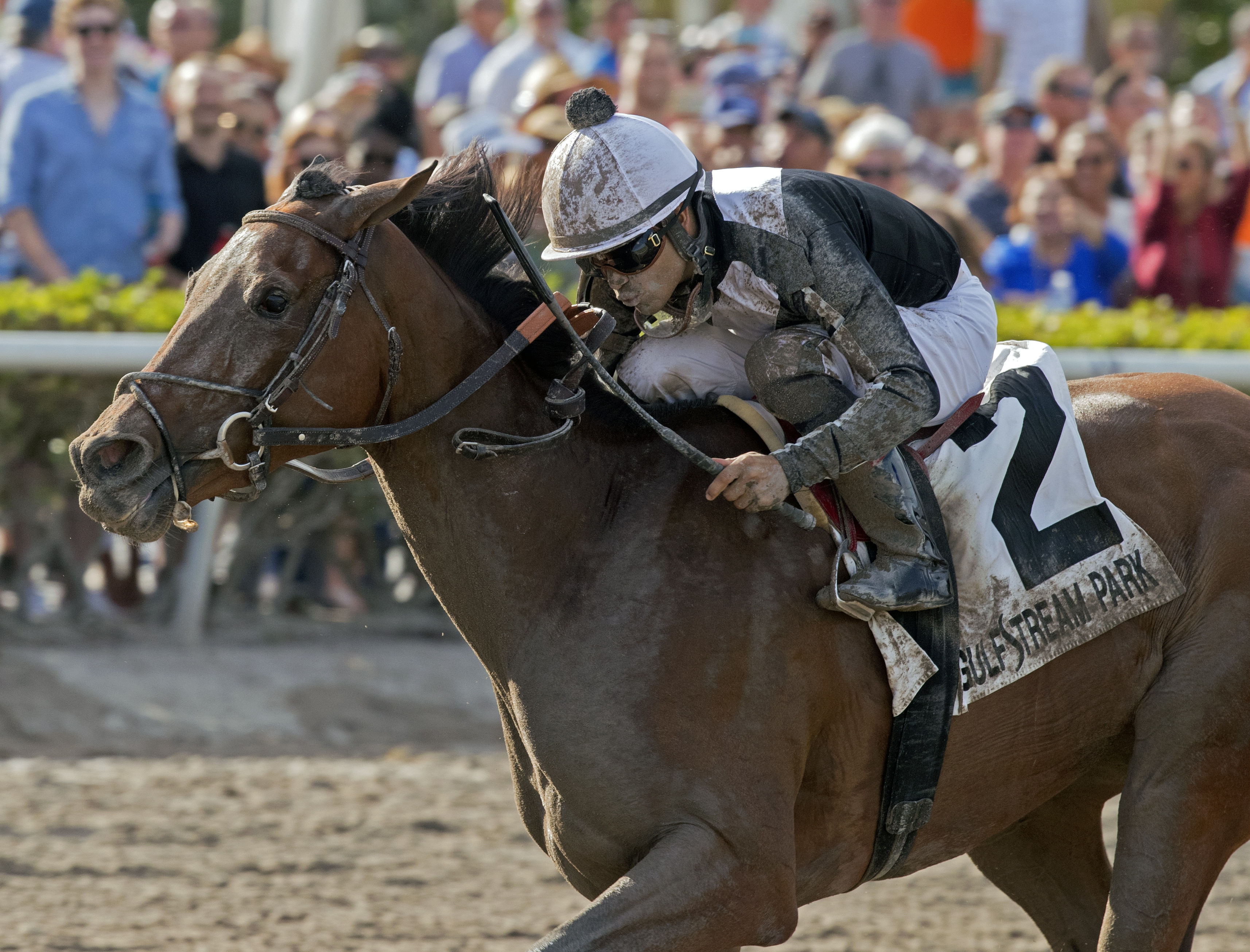 Coach Rocks wins the 2018 Gulfstream Park Oaks