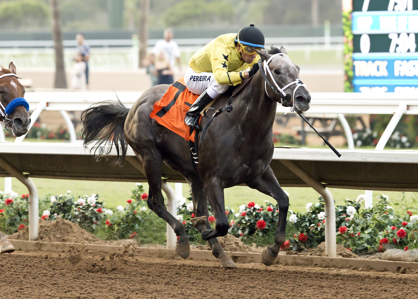 Obey wins the CTBA Stakes