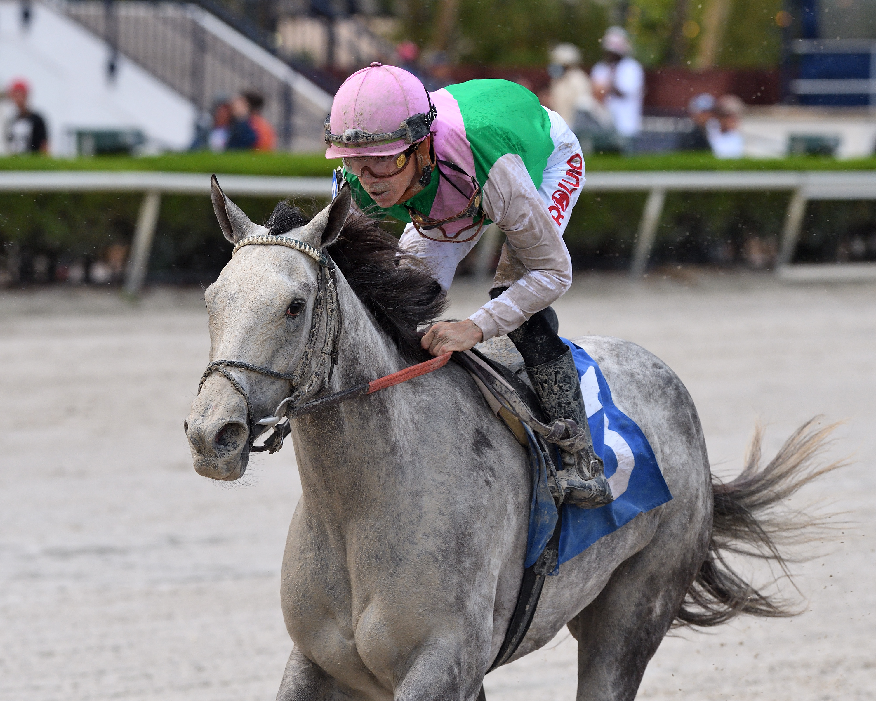 Obligatory wins Hurricane Bertie 3-12-2022