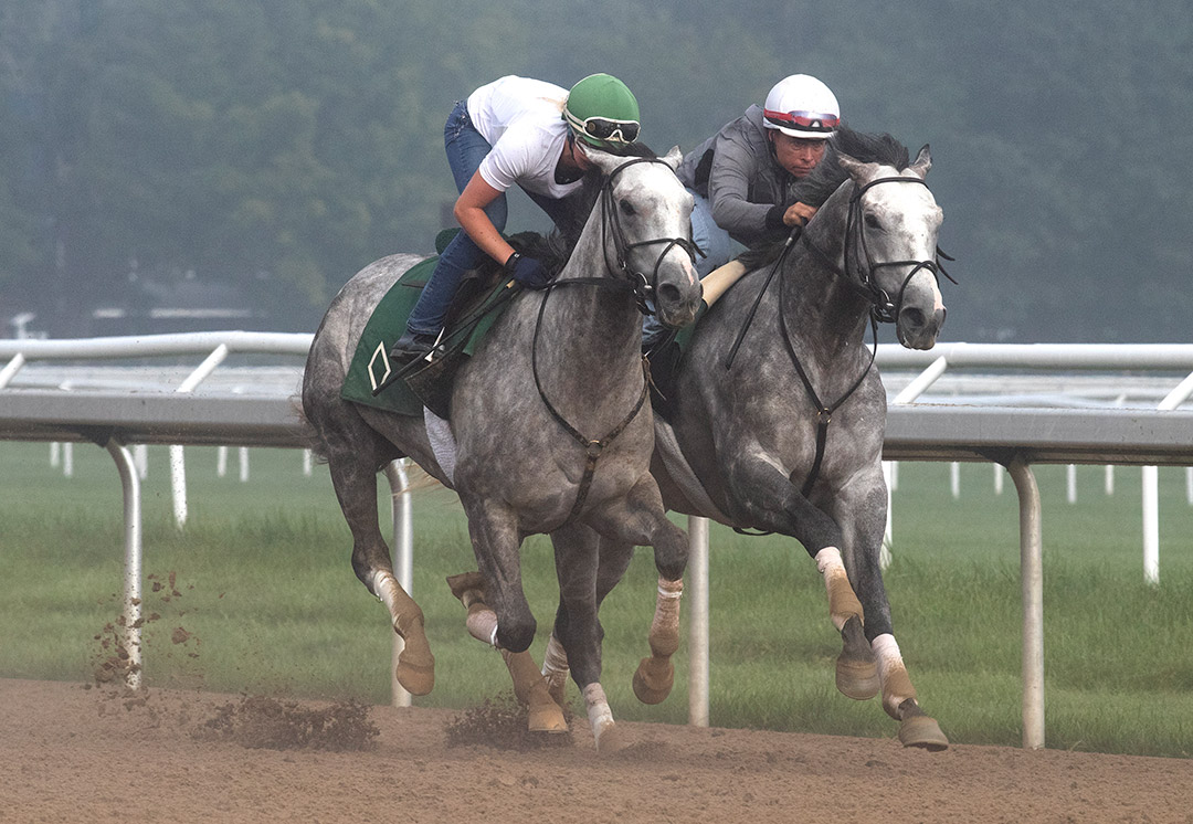 Obligatory (left) trains with Tacitus at Saratoga on July 24