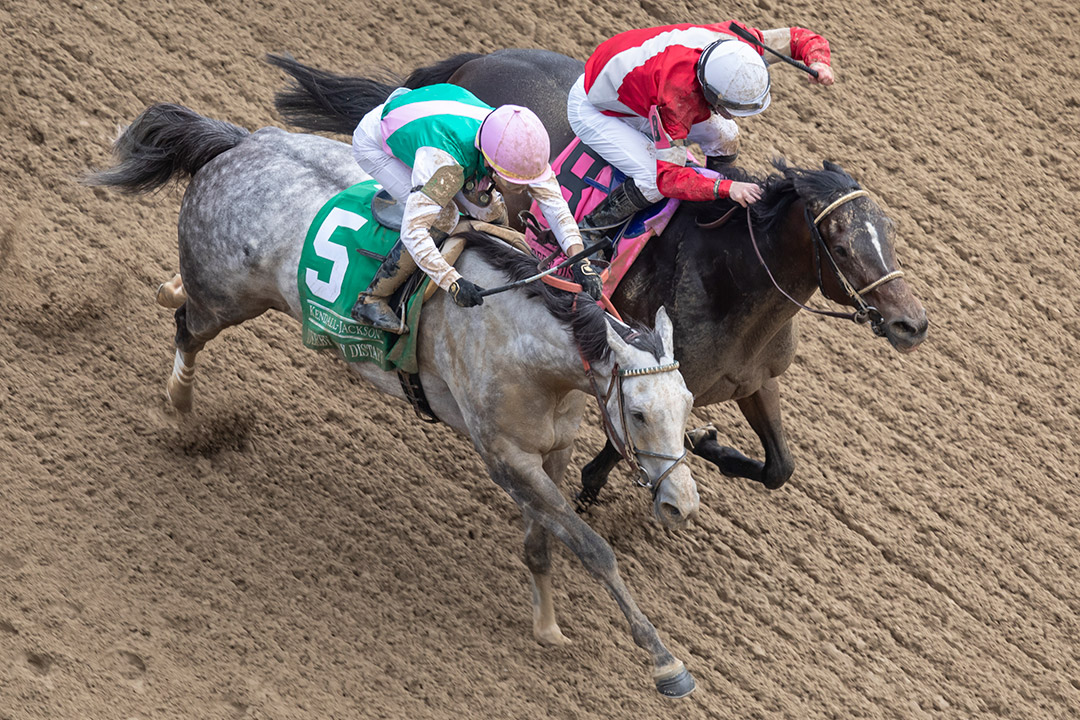 RECAP - Obligatory (5) wins the 2022 Derby City Distaff at Churchill Downs