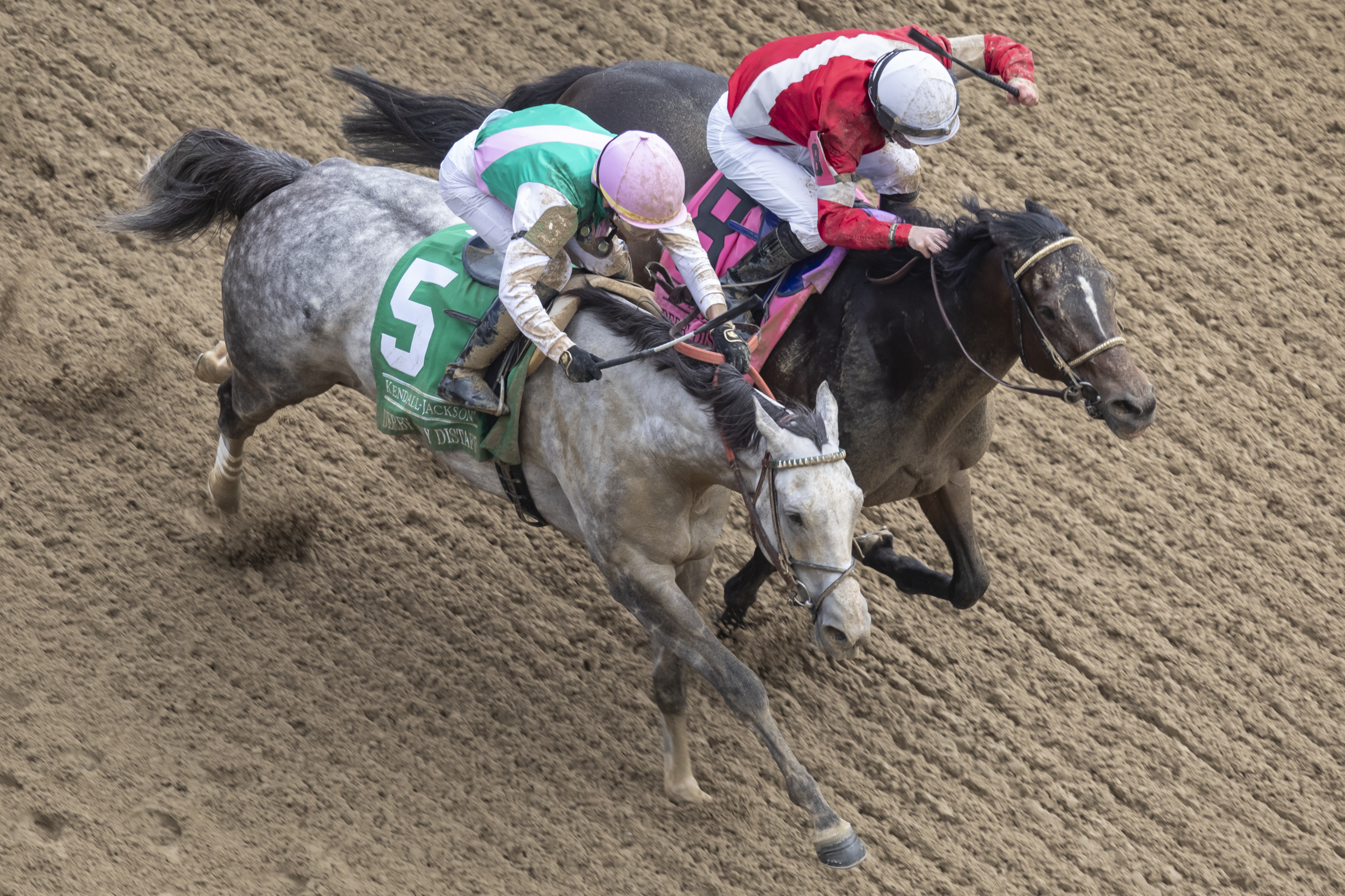 Four Graces (right), Derby City Distaff