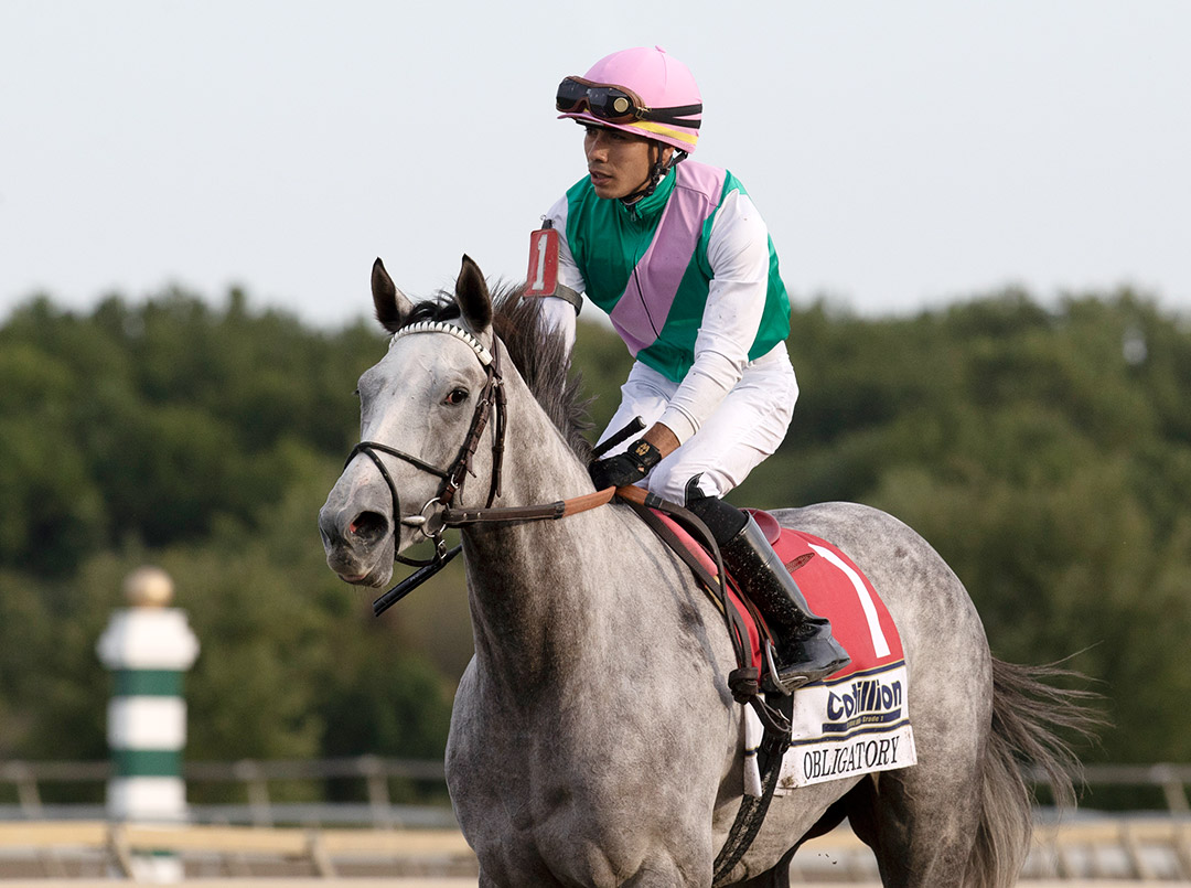 Obligatory at the 2021 Cotillion Stakes at Parx Racing