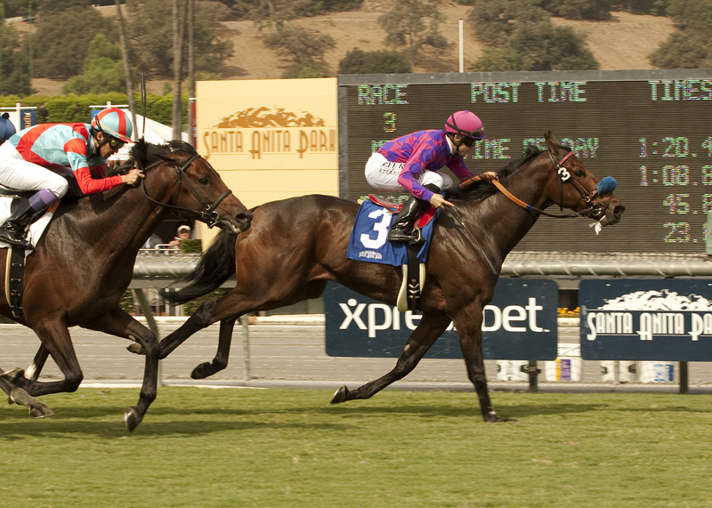 Obviously/Arroyo Seco Mile