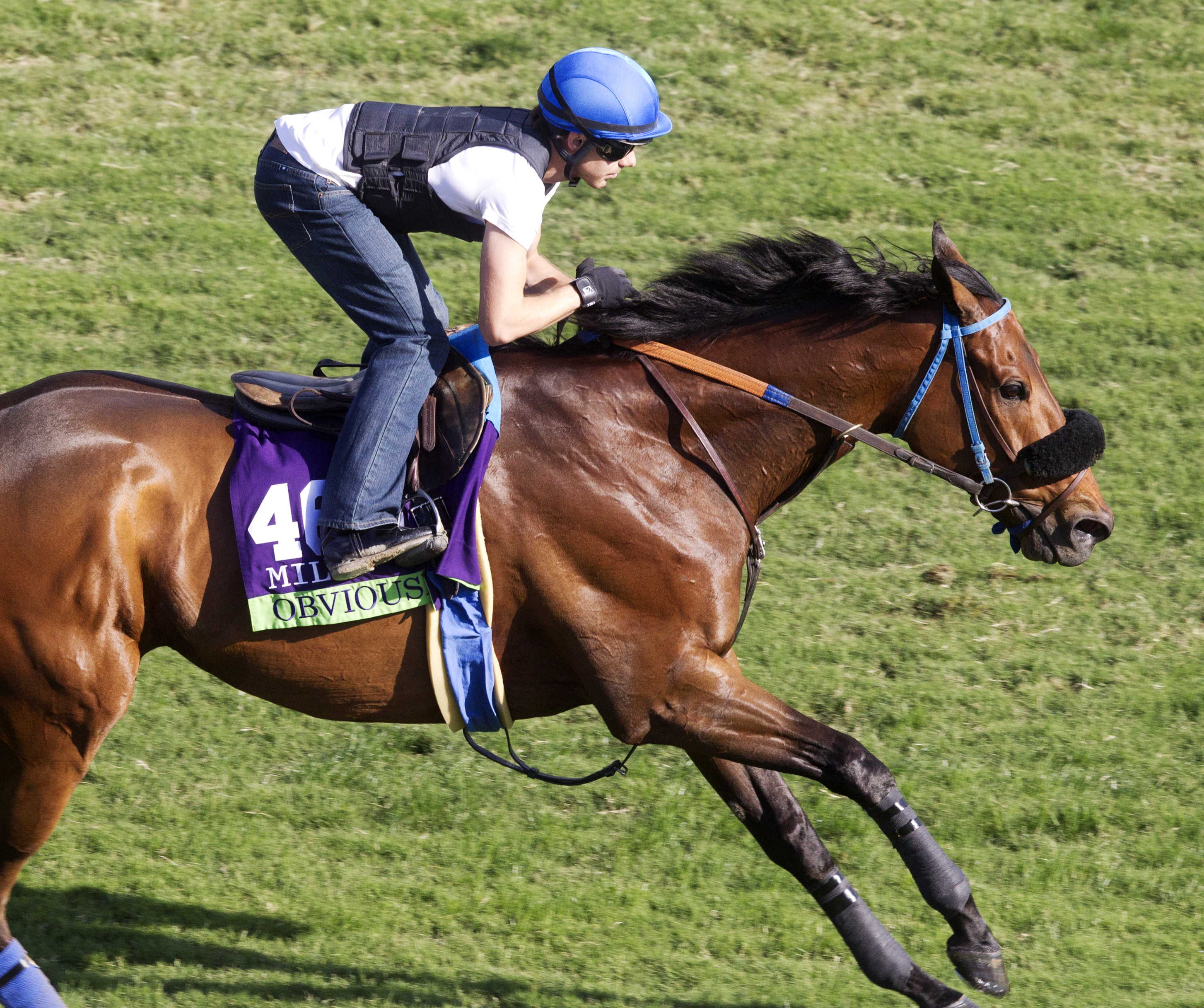Obviously trains at Santa Anita in October 2014
