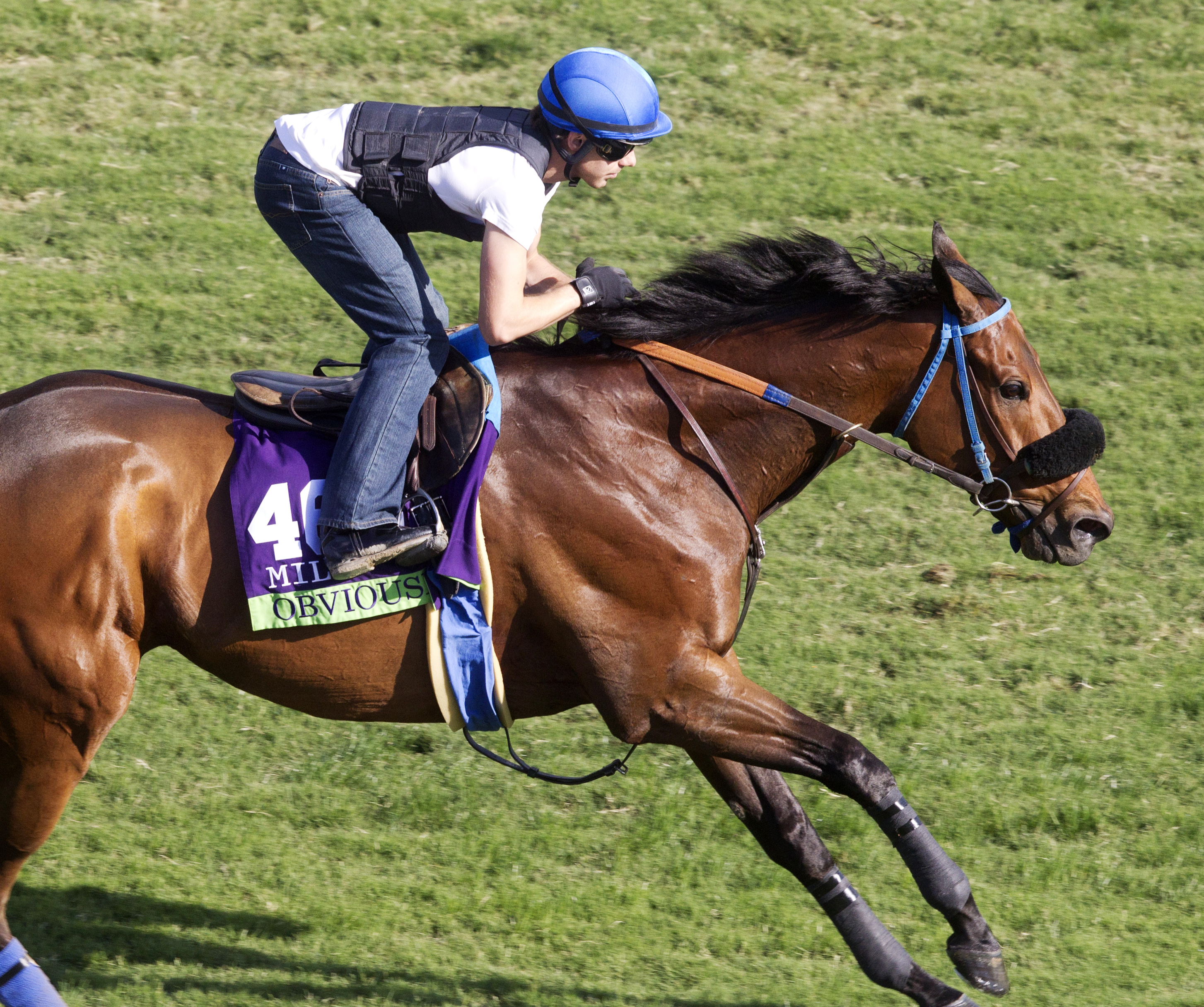 Obviously trains at Santa Anita in October 2014
