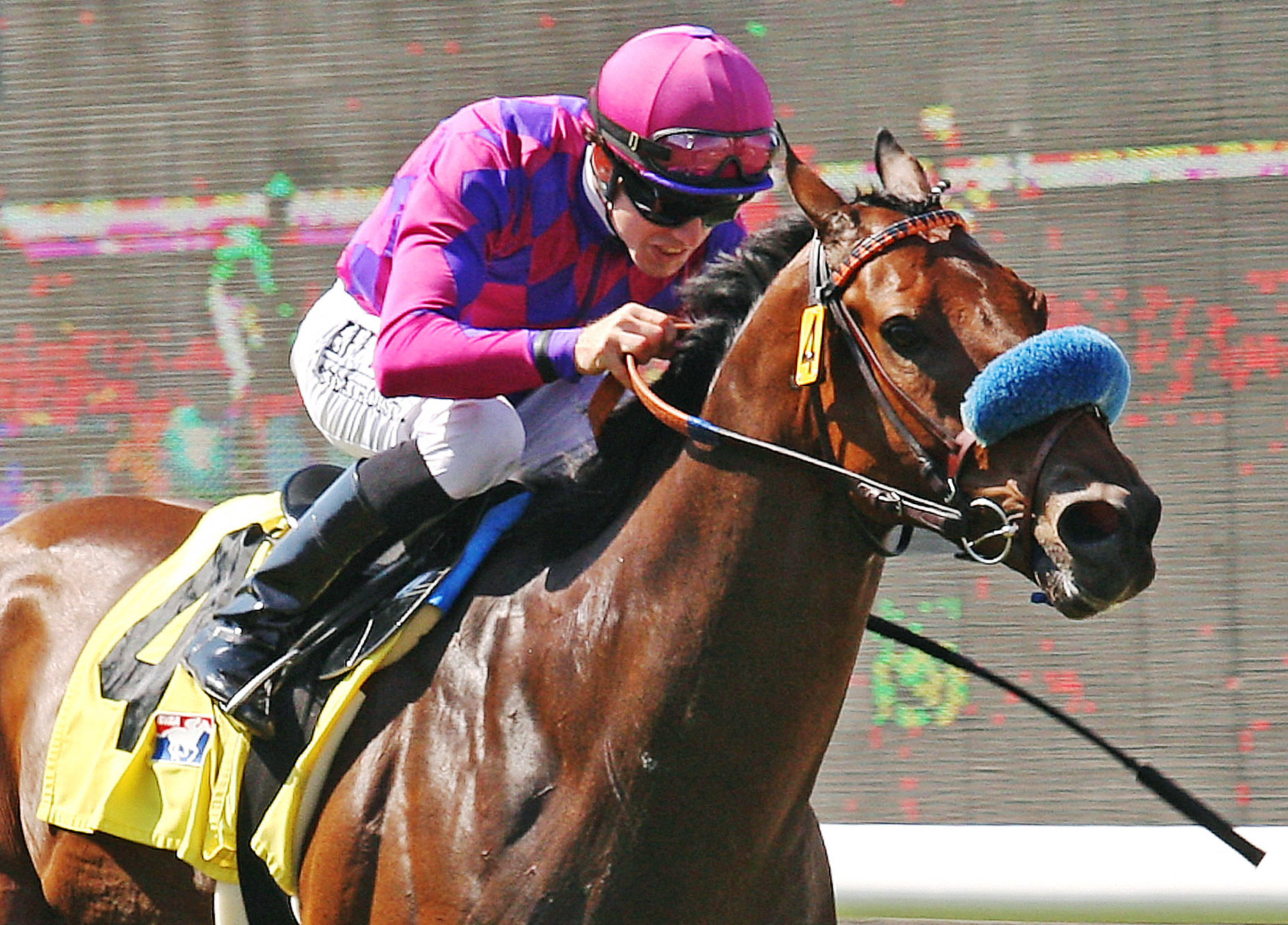 Obviously wins the 2013 Del Mar Mile