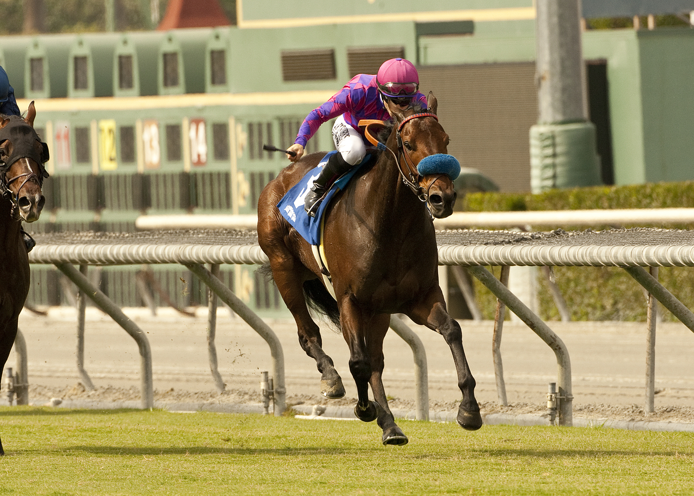 Obviously/Arroyo Seco Mile