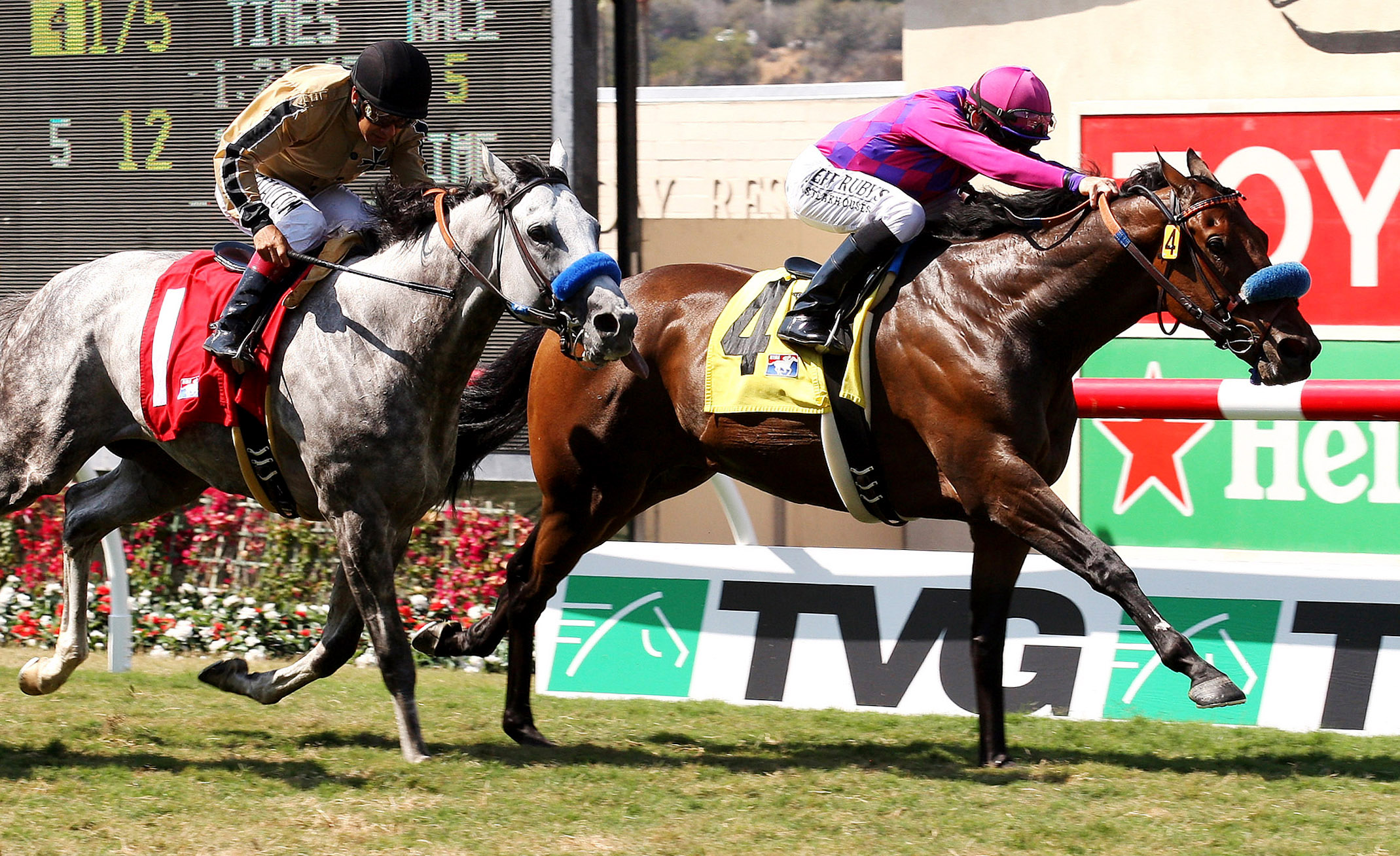 Obviously wins the 2013 Del Mar Mile