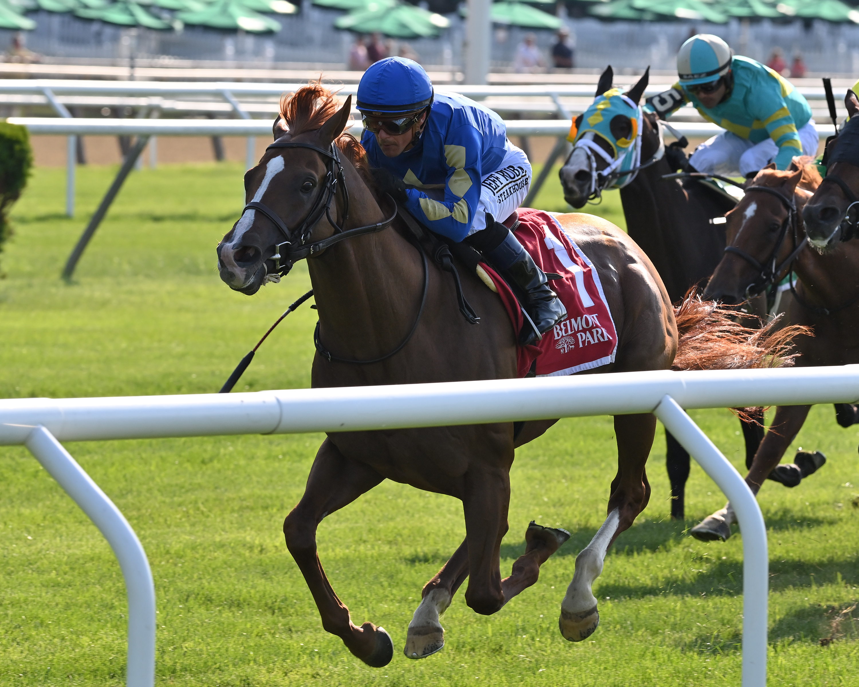 Ocala Dream wins the Kingston at Belmont on May 30 2022