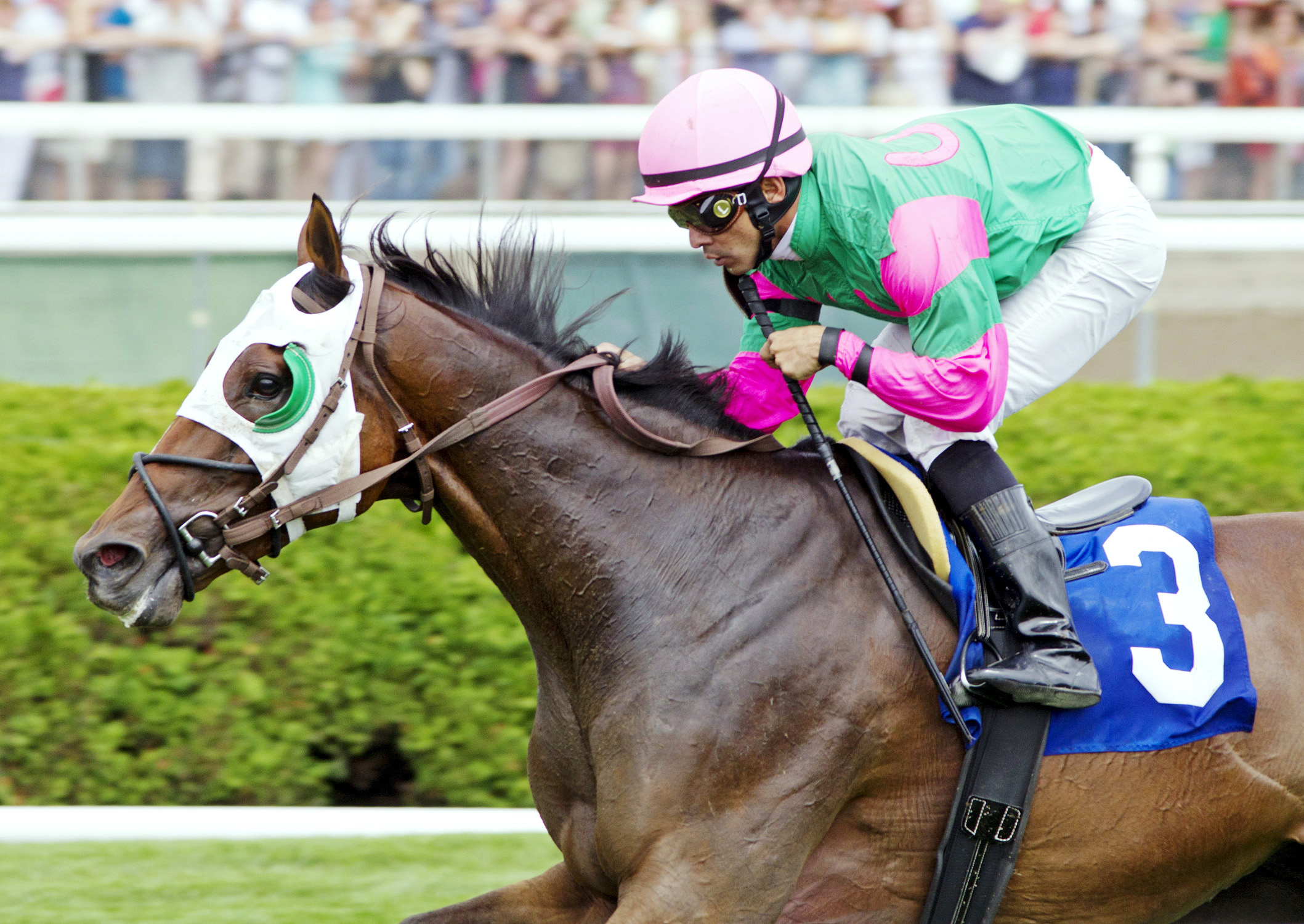 Ocala Jim wins an allowance race