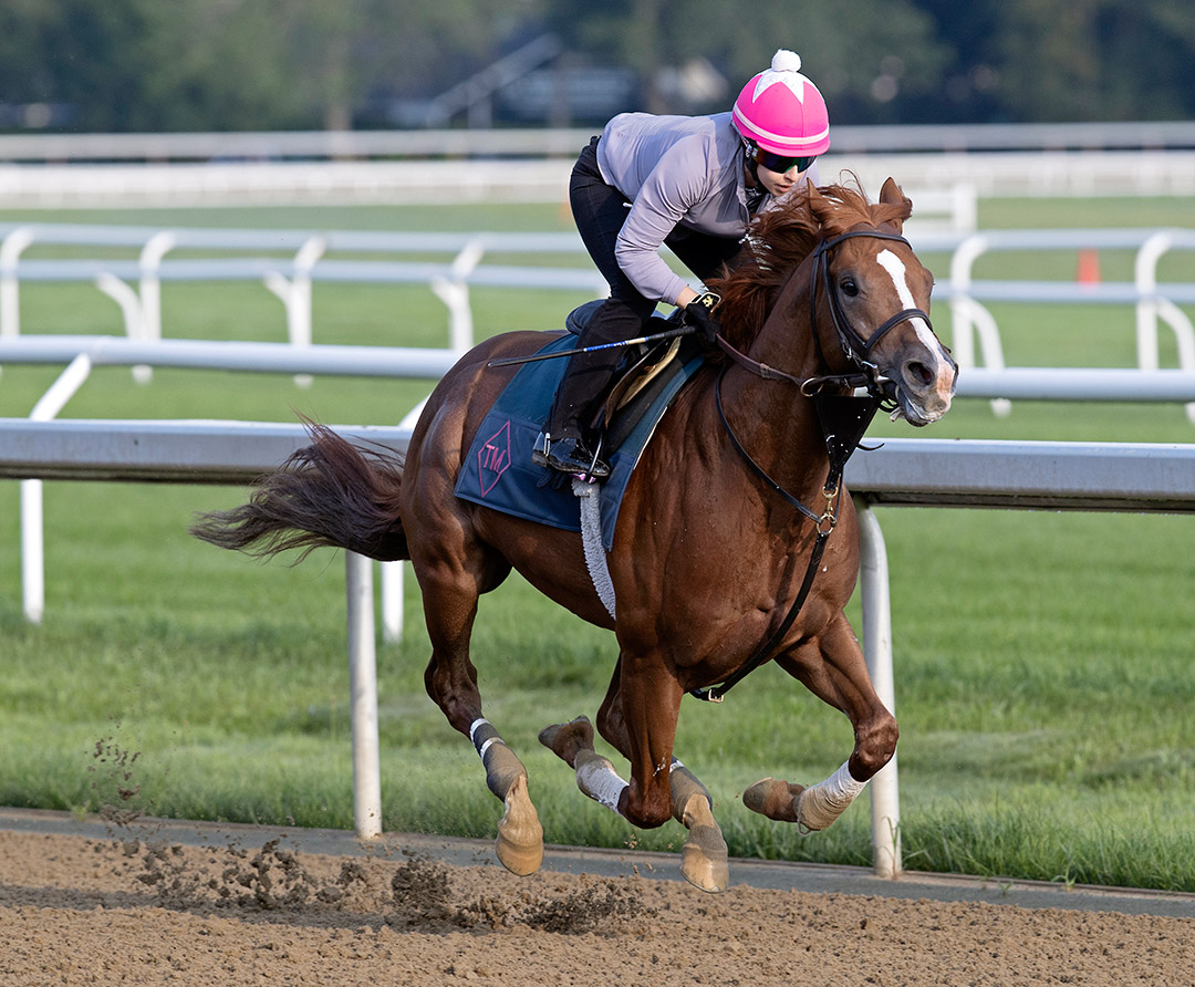 Ocala Dream trains at Saratoga Race Course on July 22