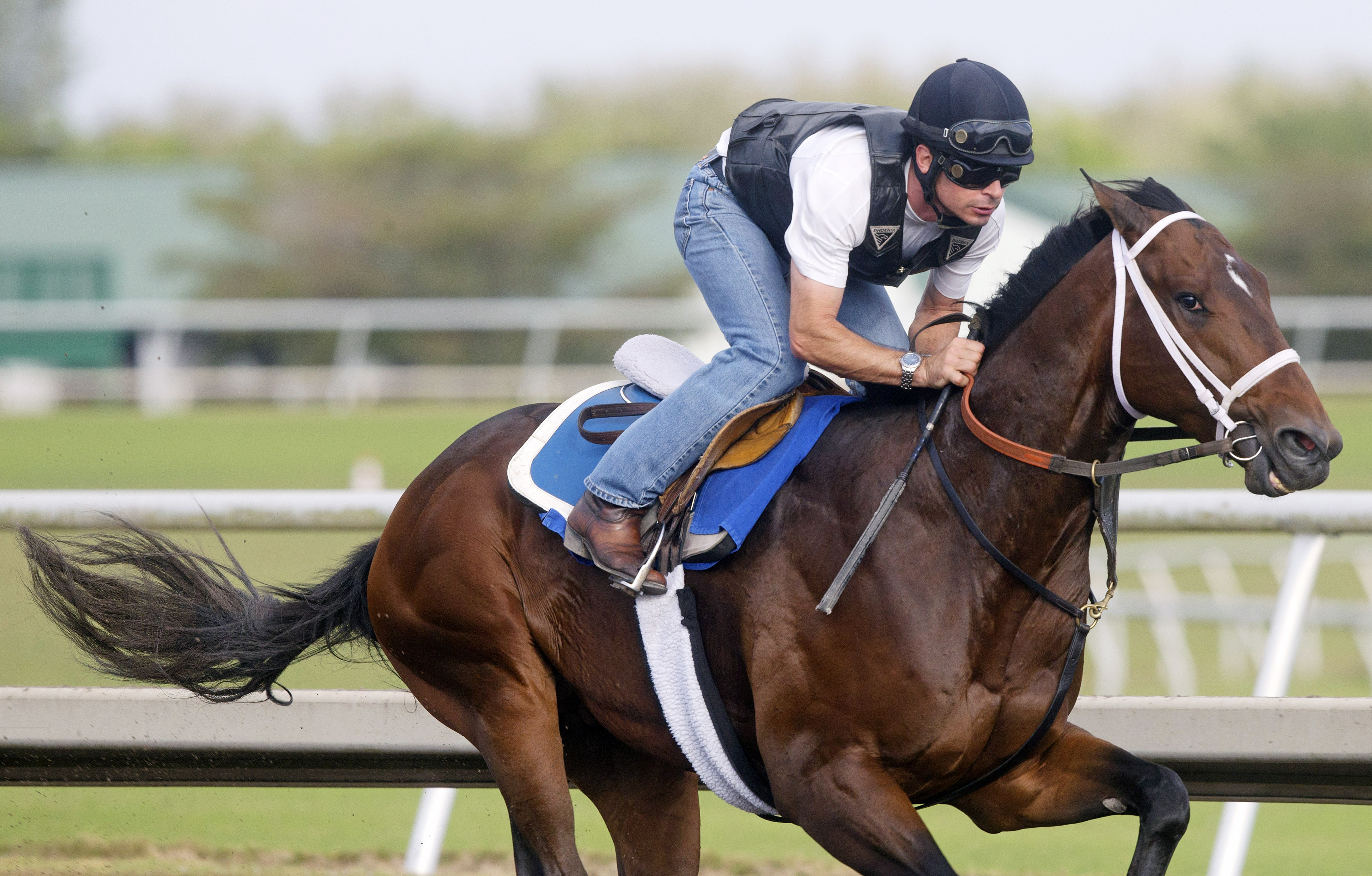 Ocean Knight works at Palm Meadows on Feb. 28