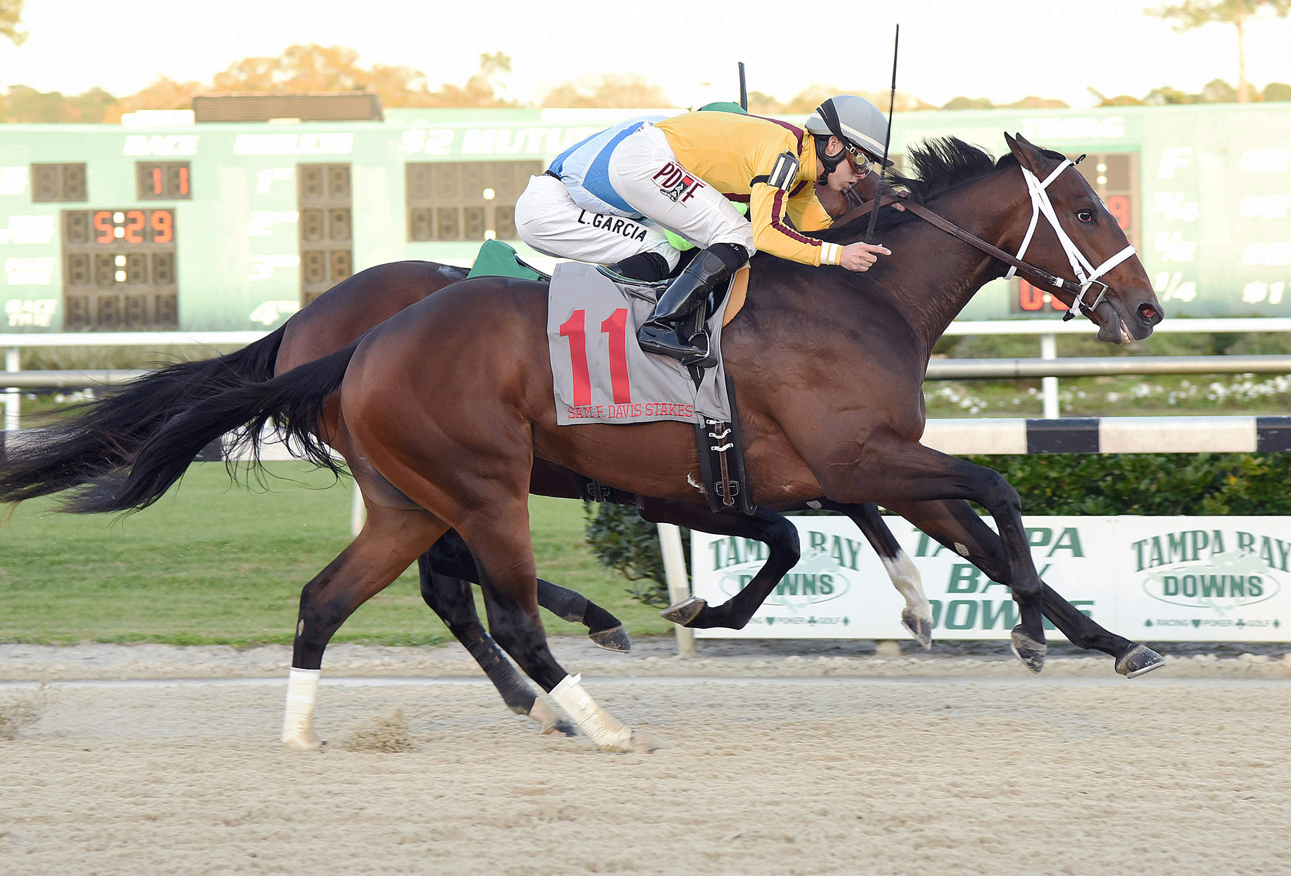 Ocean Knight wins the Sam F. Davis