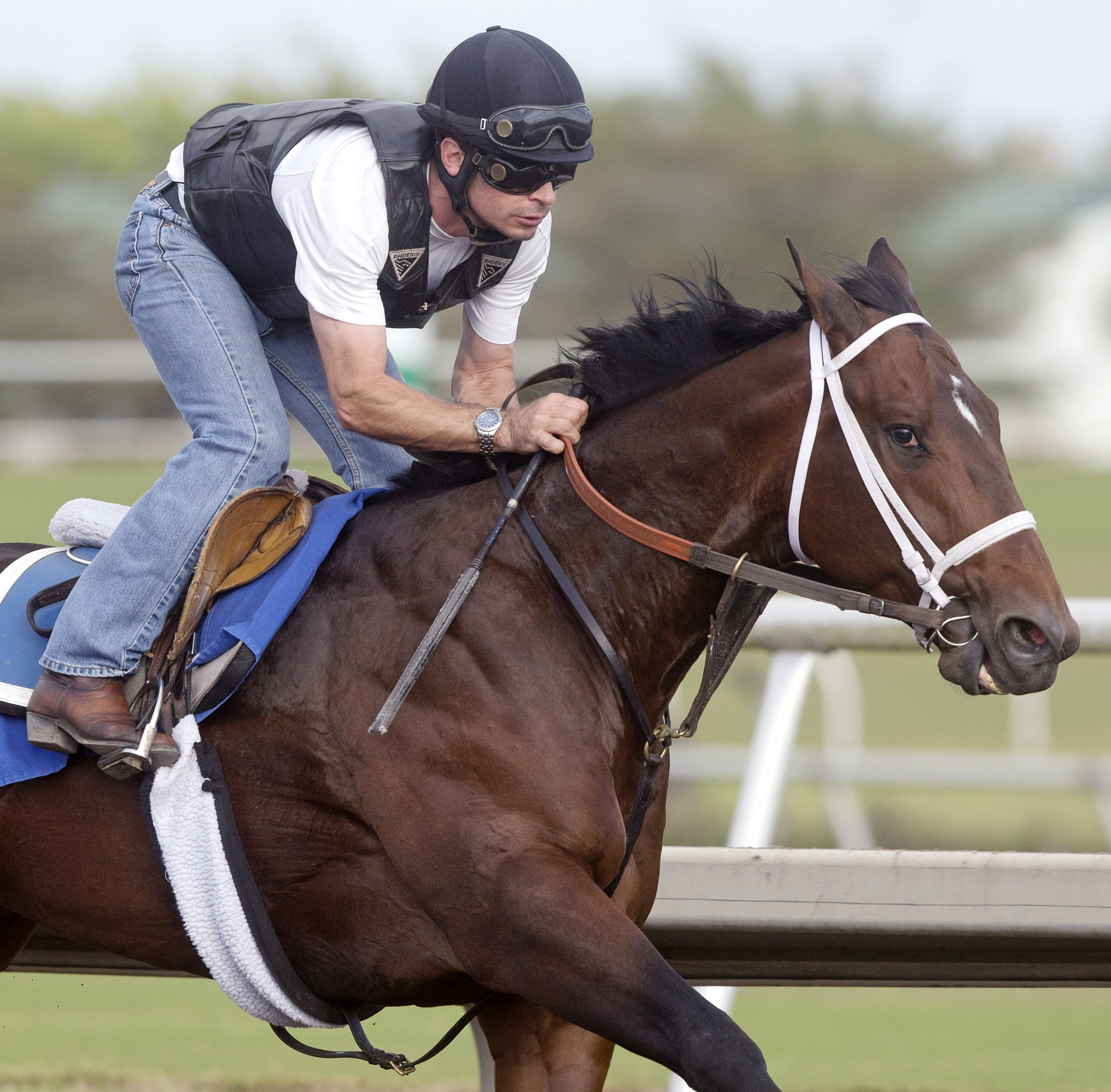 Ocean Knight works at Palm Meadows