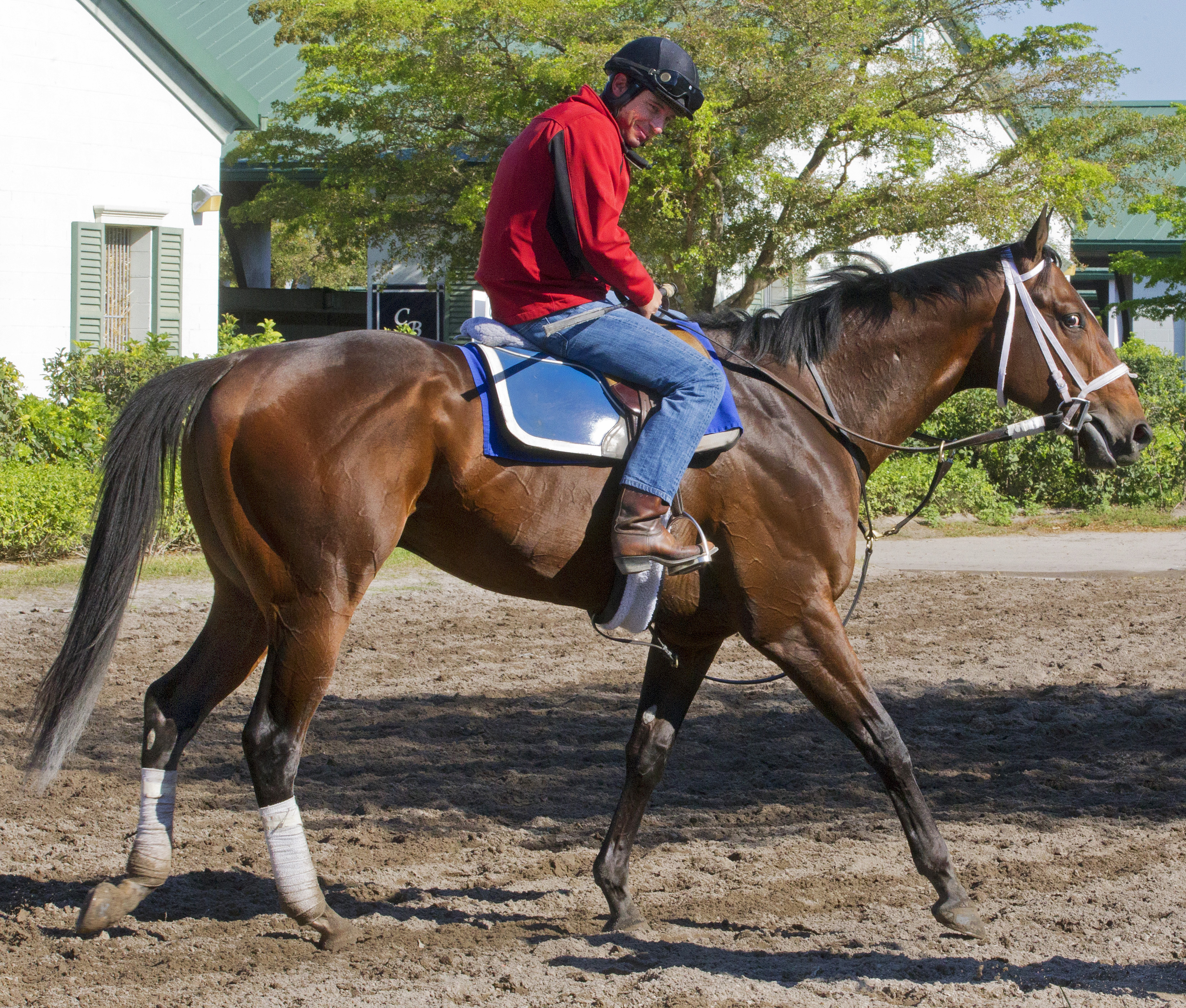 Ocean Knight works at Palm Meadows March 29