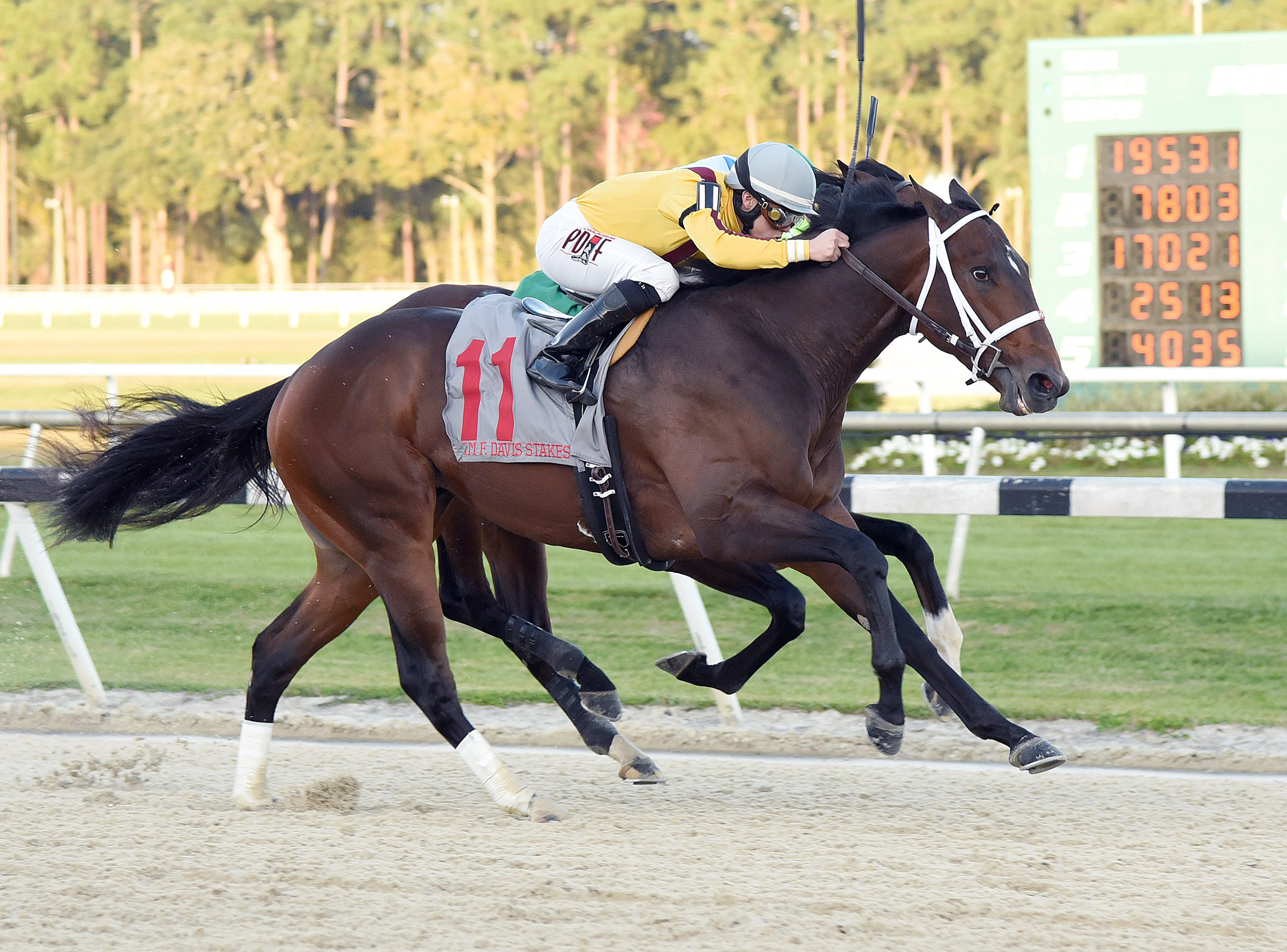 Ocean Knight wins the Sam F. Davis